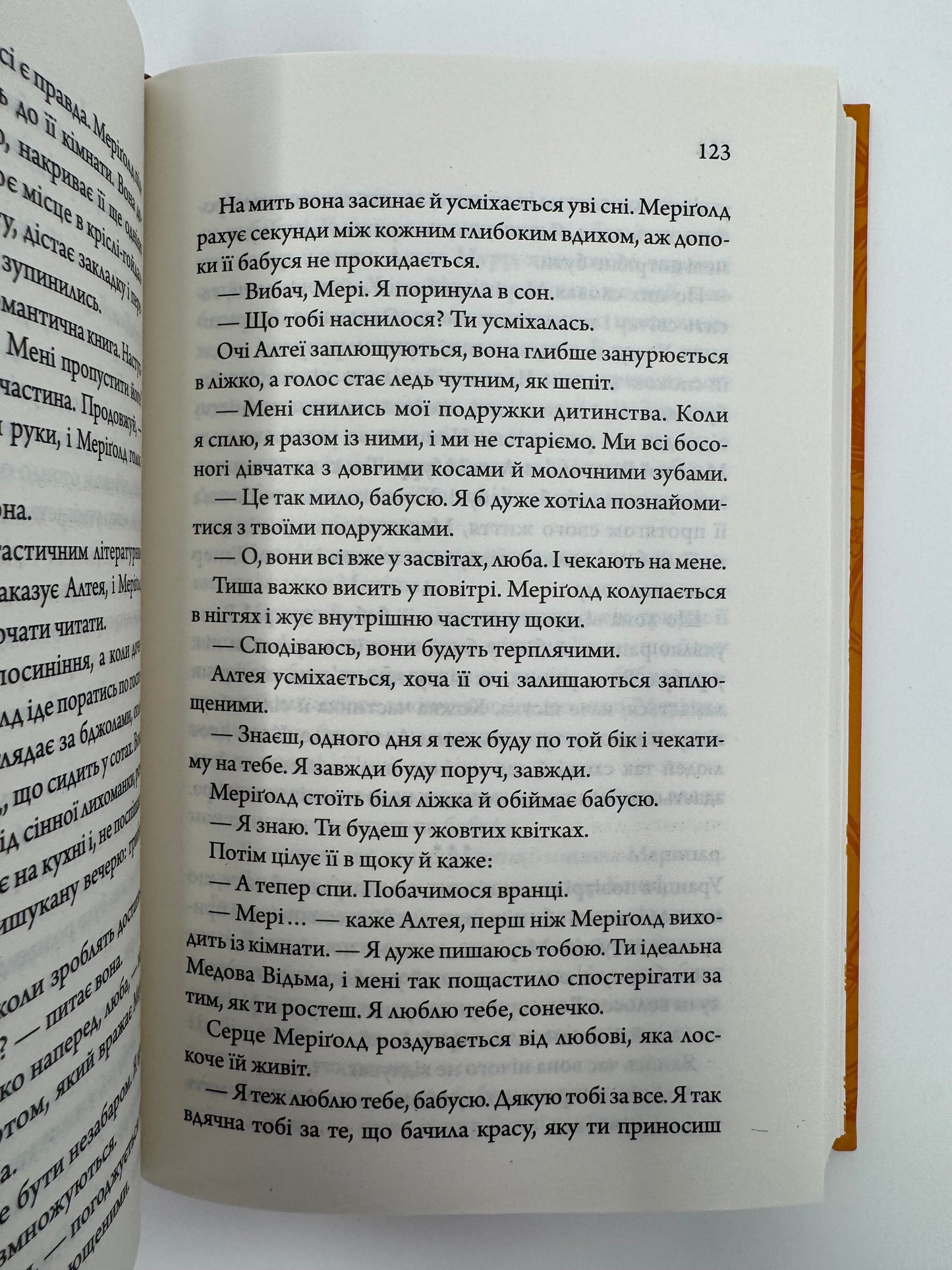Медова Відьма. Сідні Дж. Шілдс / Світові бестселери українською