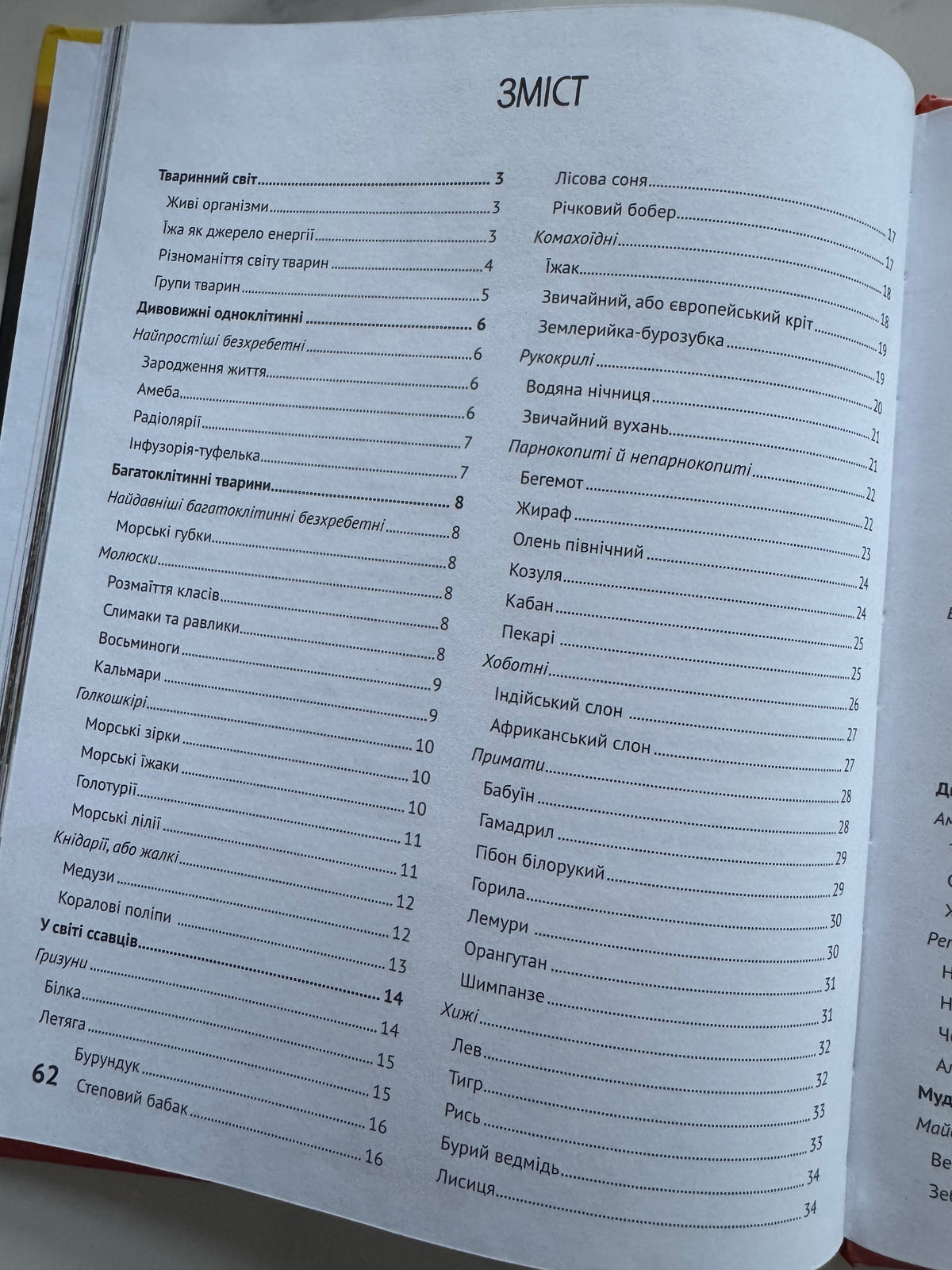 Тварини. Дитяча ілюстрована енциклопедія / Дитячі енциклопедії купити українською