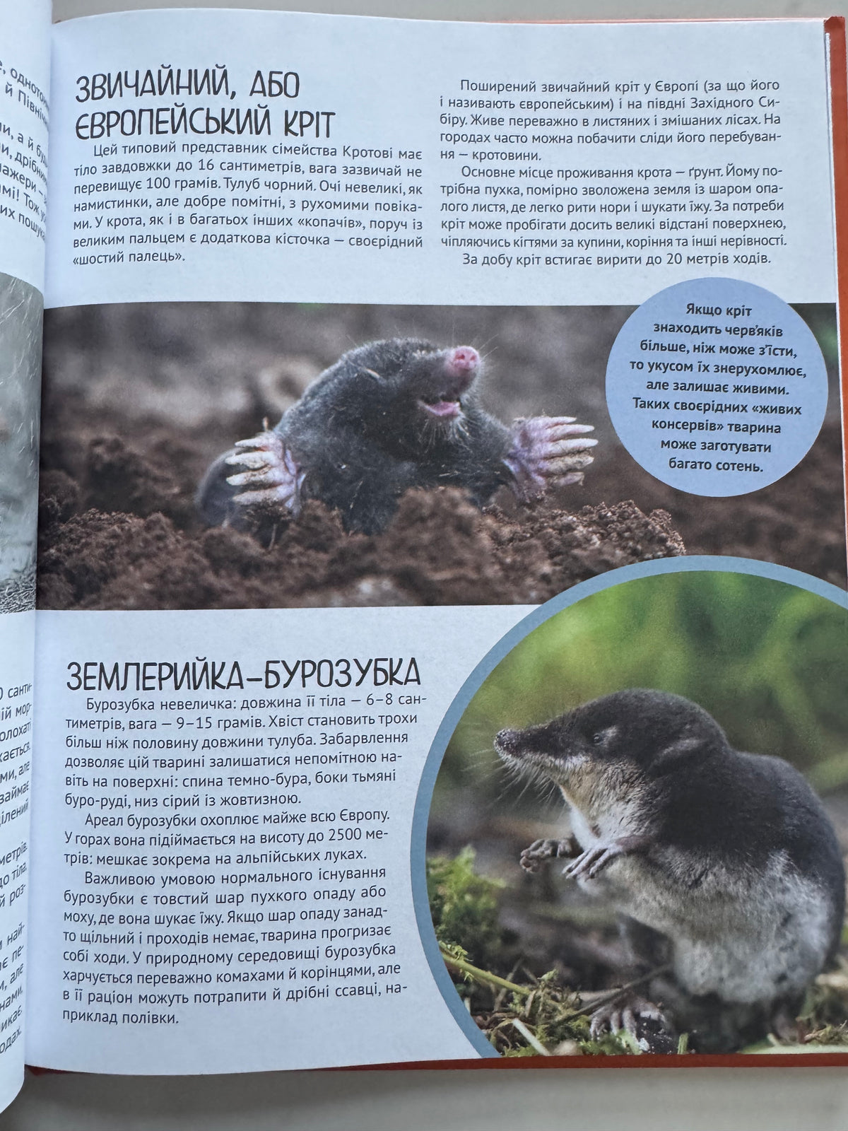 Тварини. Дитяча ілюстрована енциклопедія / Дитячі енциклопедії купити українською