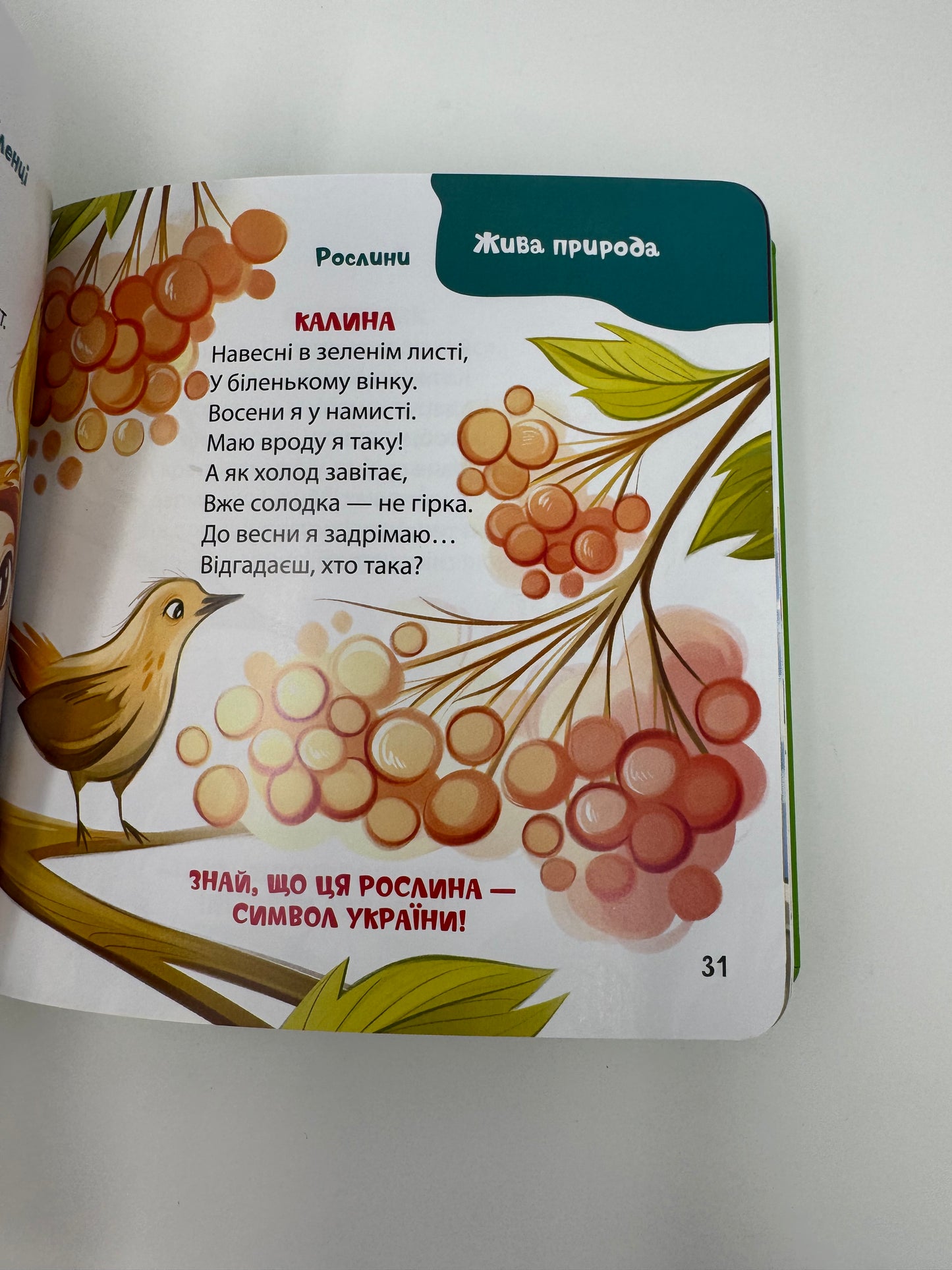 Віршенята-загадки для малят. 3–5 років. Юлія Пеліхова / Книги для малят з загадками