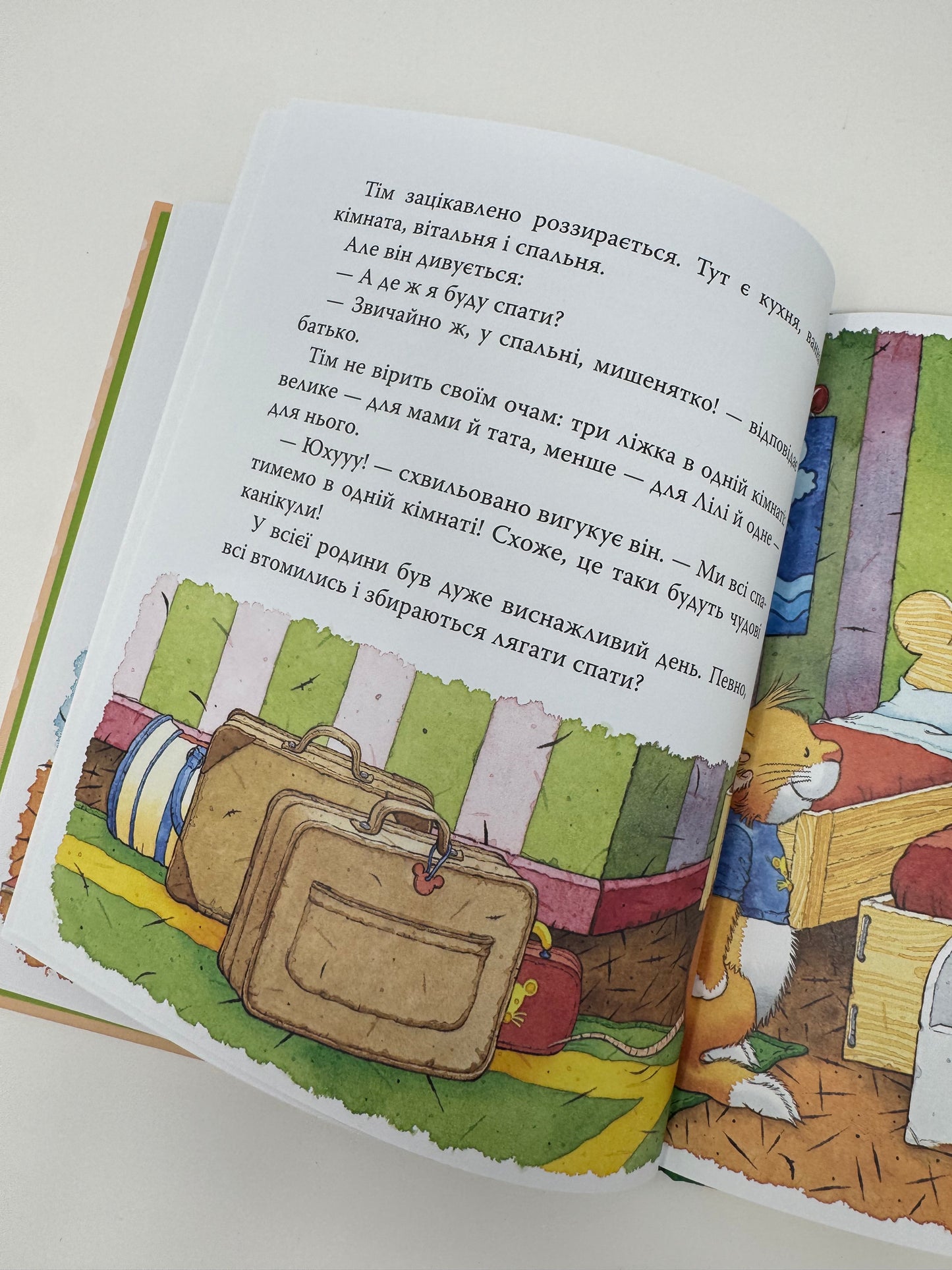Мишеня Тім не хоче їхати в подорож. Анна Казаліс / Книги дитячі купити в США
