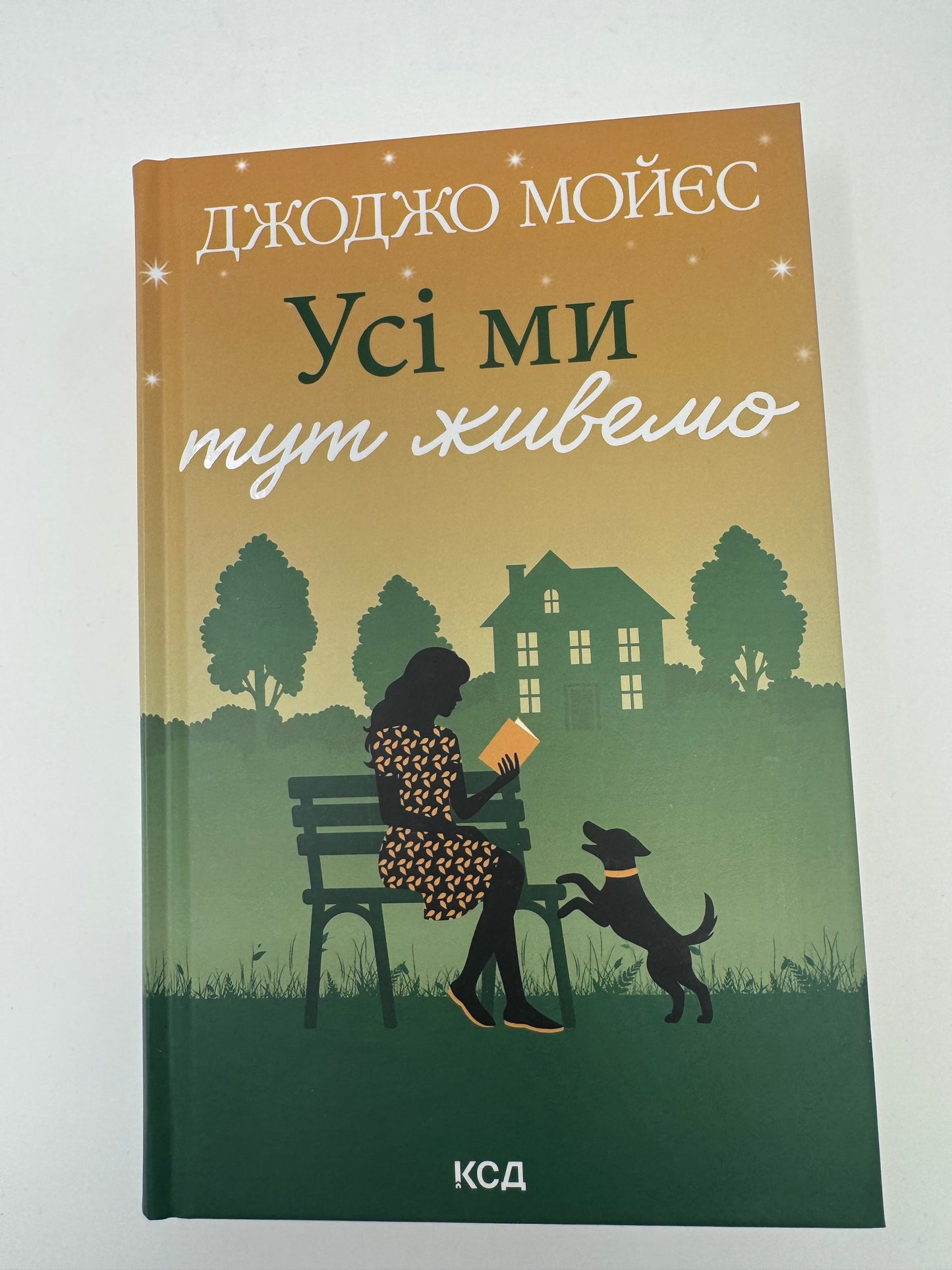 Усі ми тут живемо. Джоджо Мойєс / Книги світова література купити