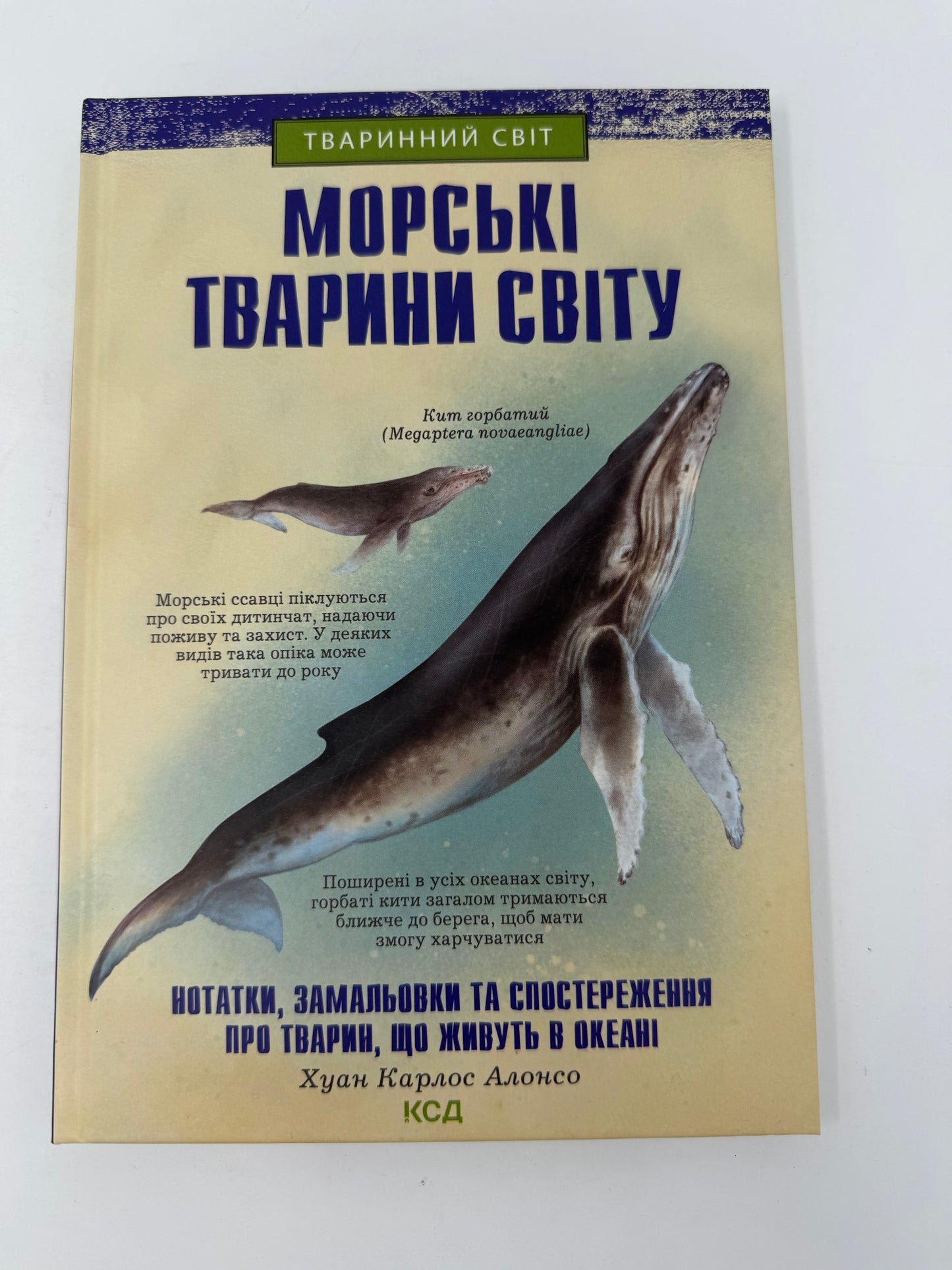 Морські тварини світу. Хуан Карлос Алонсо / Енциклопедії для дітей українською