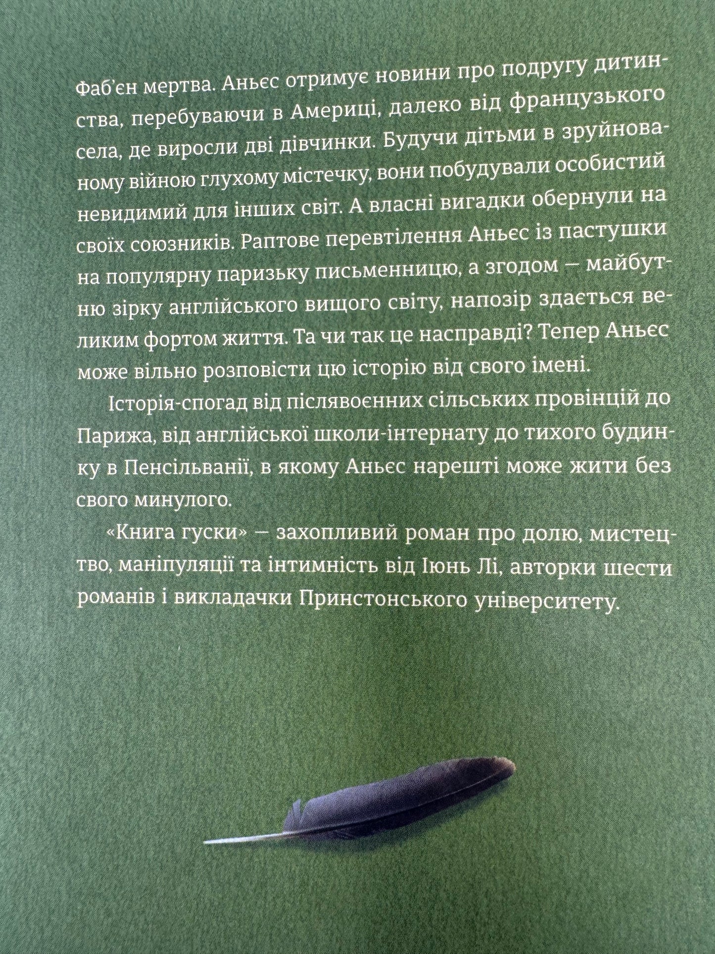 Книга гуски. Іюнь Лі / Книги світові бестселери купити