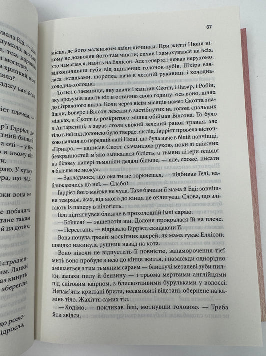 Маленький друг. Донна Тартт / Сучасні світові бестселери українською