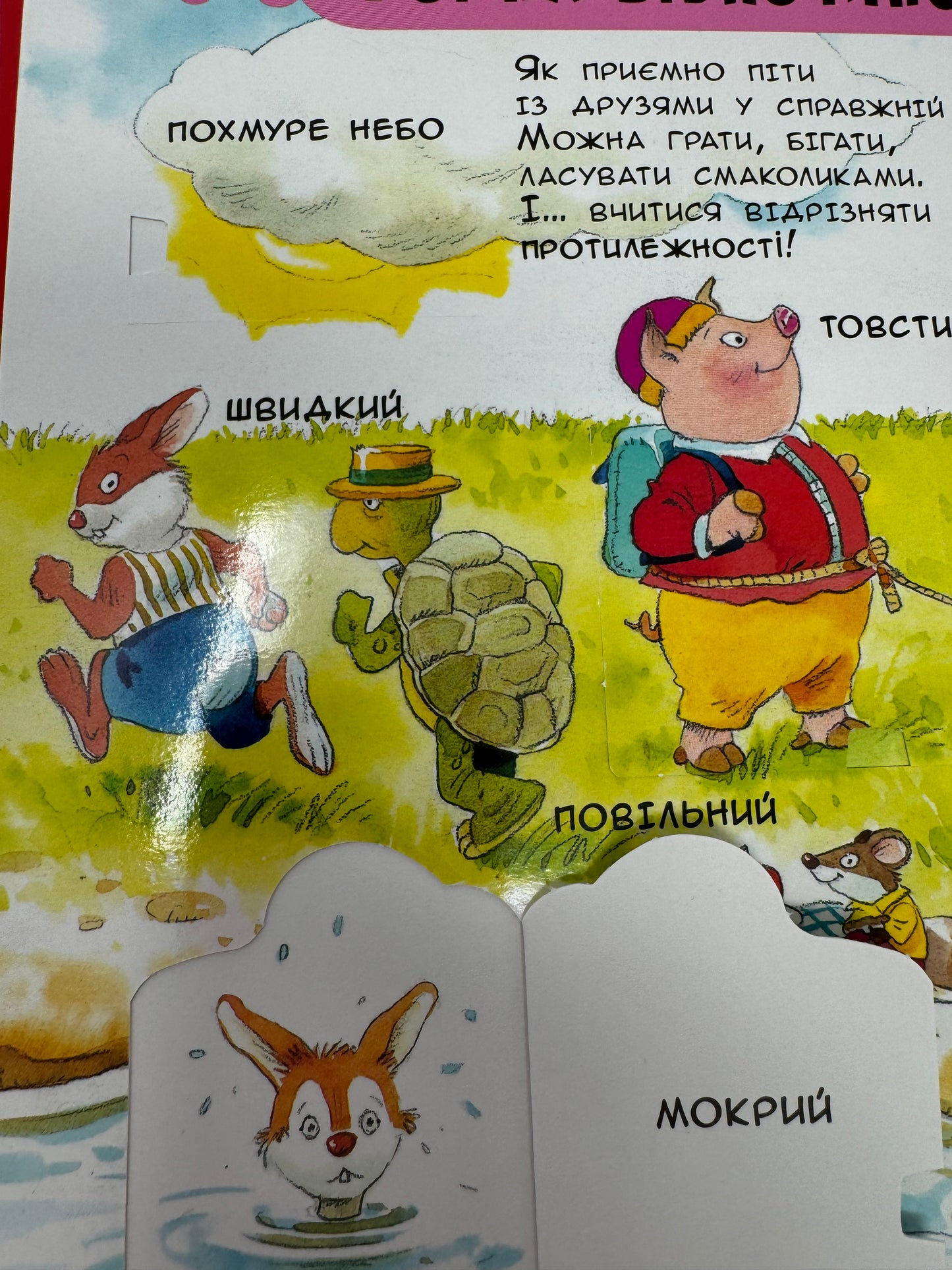 88 чарівних віконець. Вчимо слова. З ілюстраціями Тоні Вульфа / Книги українською купити для дітей в США