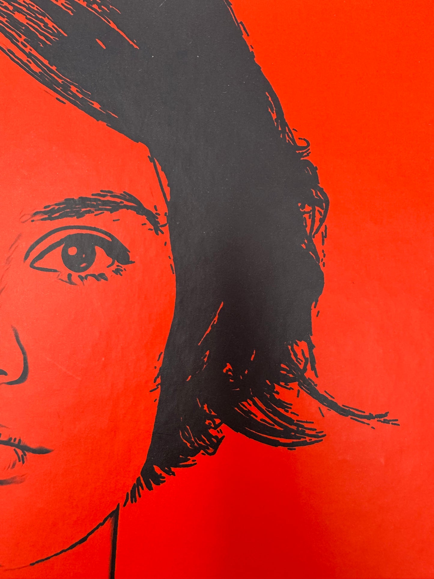 Не моє імʼя. Меґан Лаллі / Сучасна проза купити українською книги в США