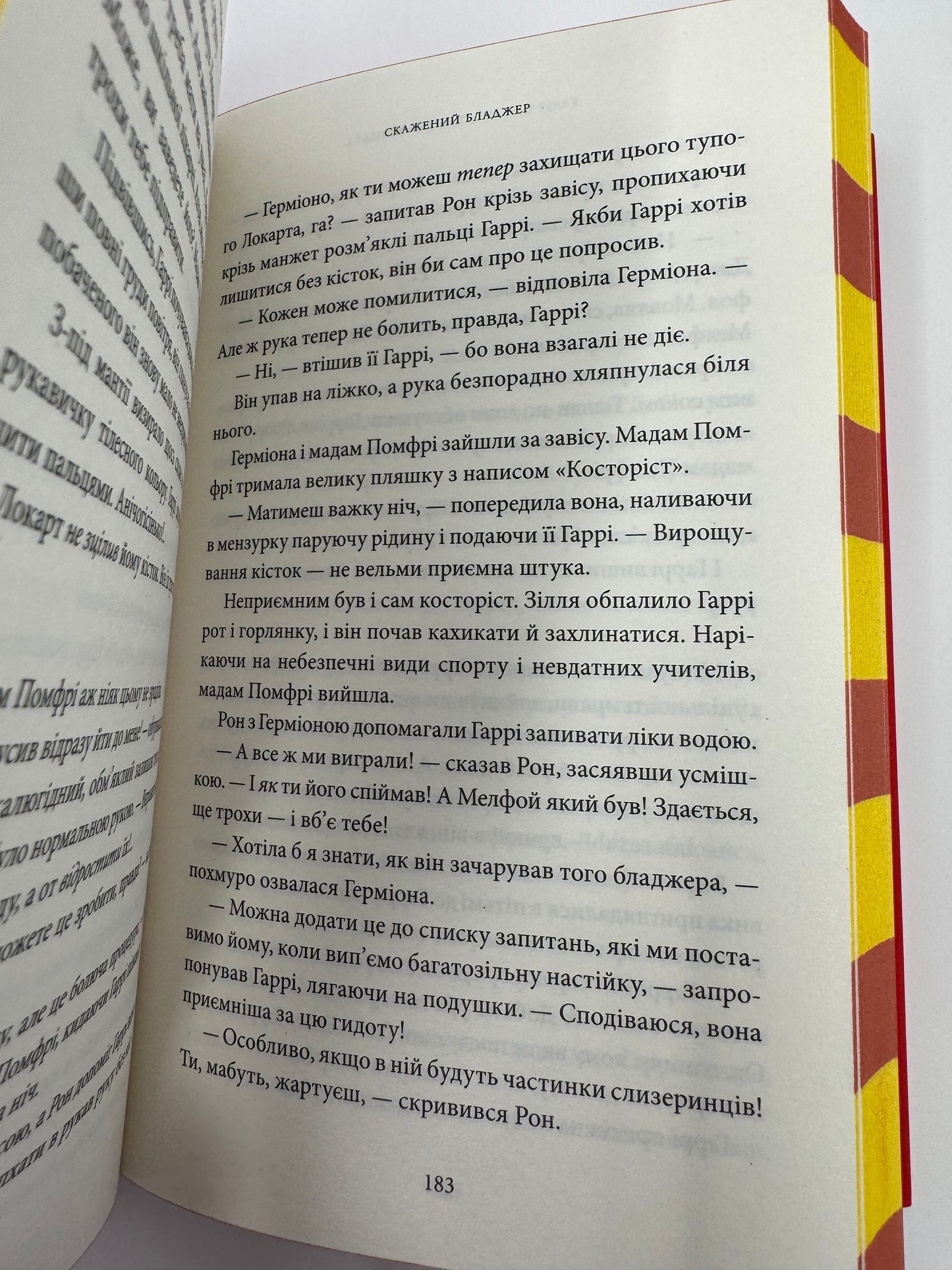 Гаррі Поттер і таємна кімната. Ґрифіндор. Ґоґвардське видання. Дж. К. Ролінґ / Книги про Гаррі Поттера купити в США