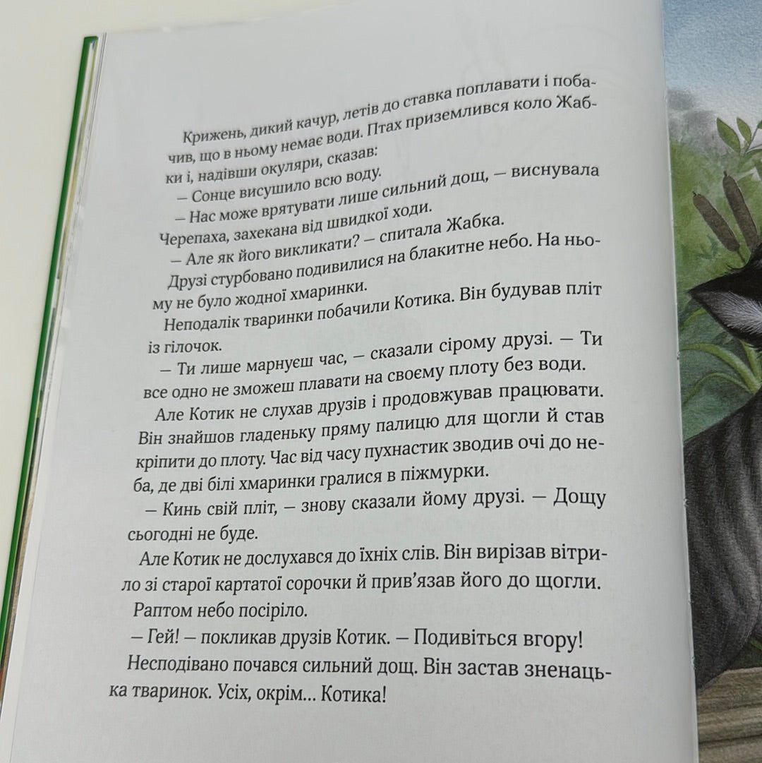 Прекрасні бабусині казочки із садочка. Карін-Марі Амйо / Книги для дітей українською в США