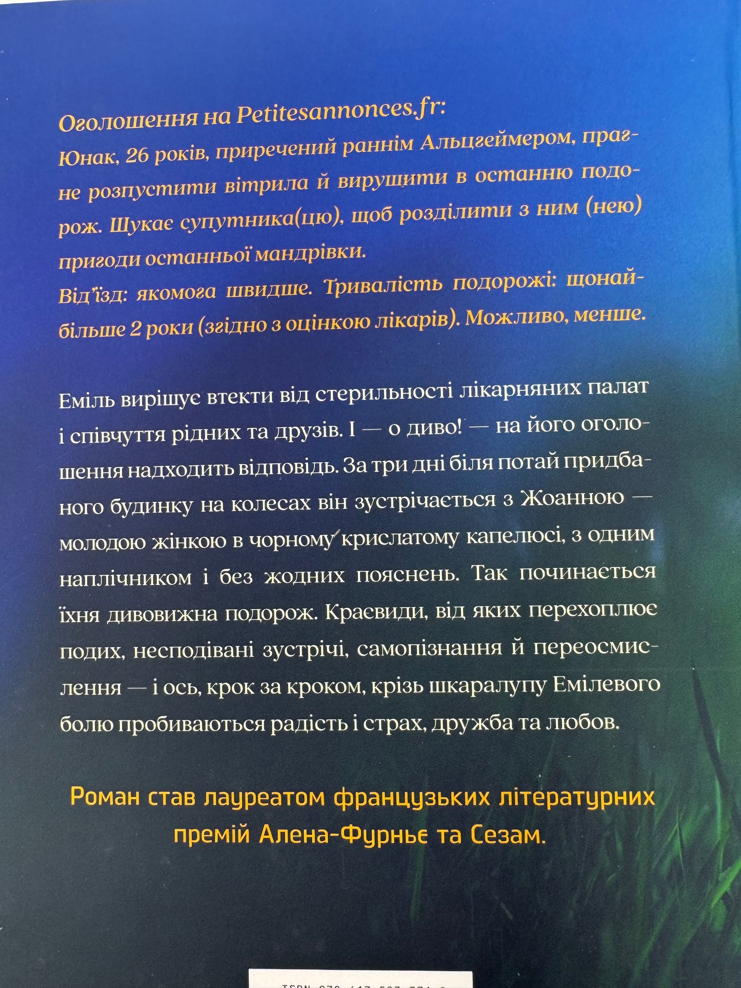 Уся небесна синь. Limited edition. Меліси Да Коста / Сучасні бестселери купити в США