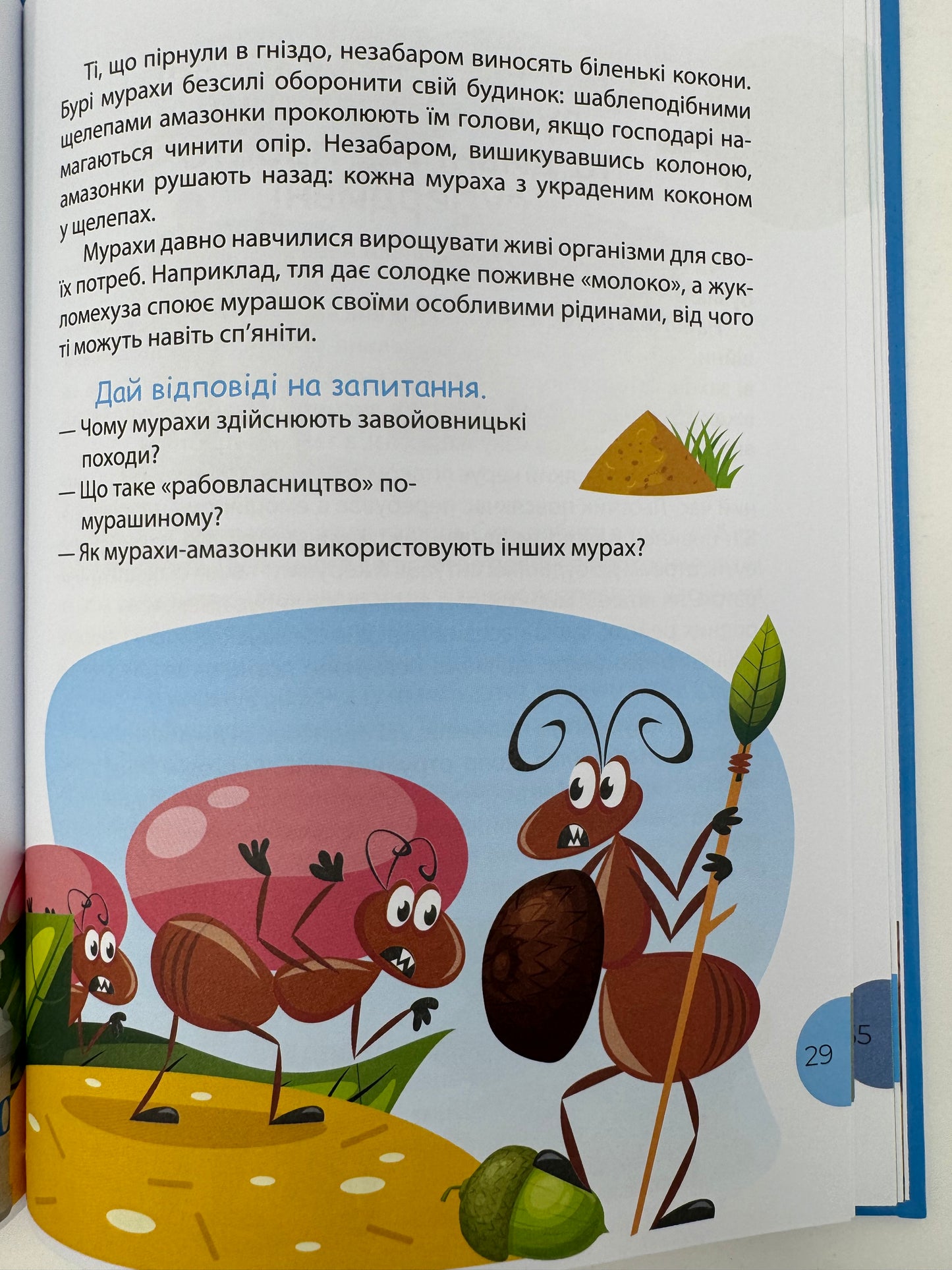 Читанка - ЧОМУчка 7+. Еліна Заржицька / Читанки для дітей