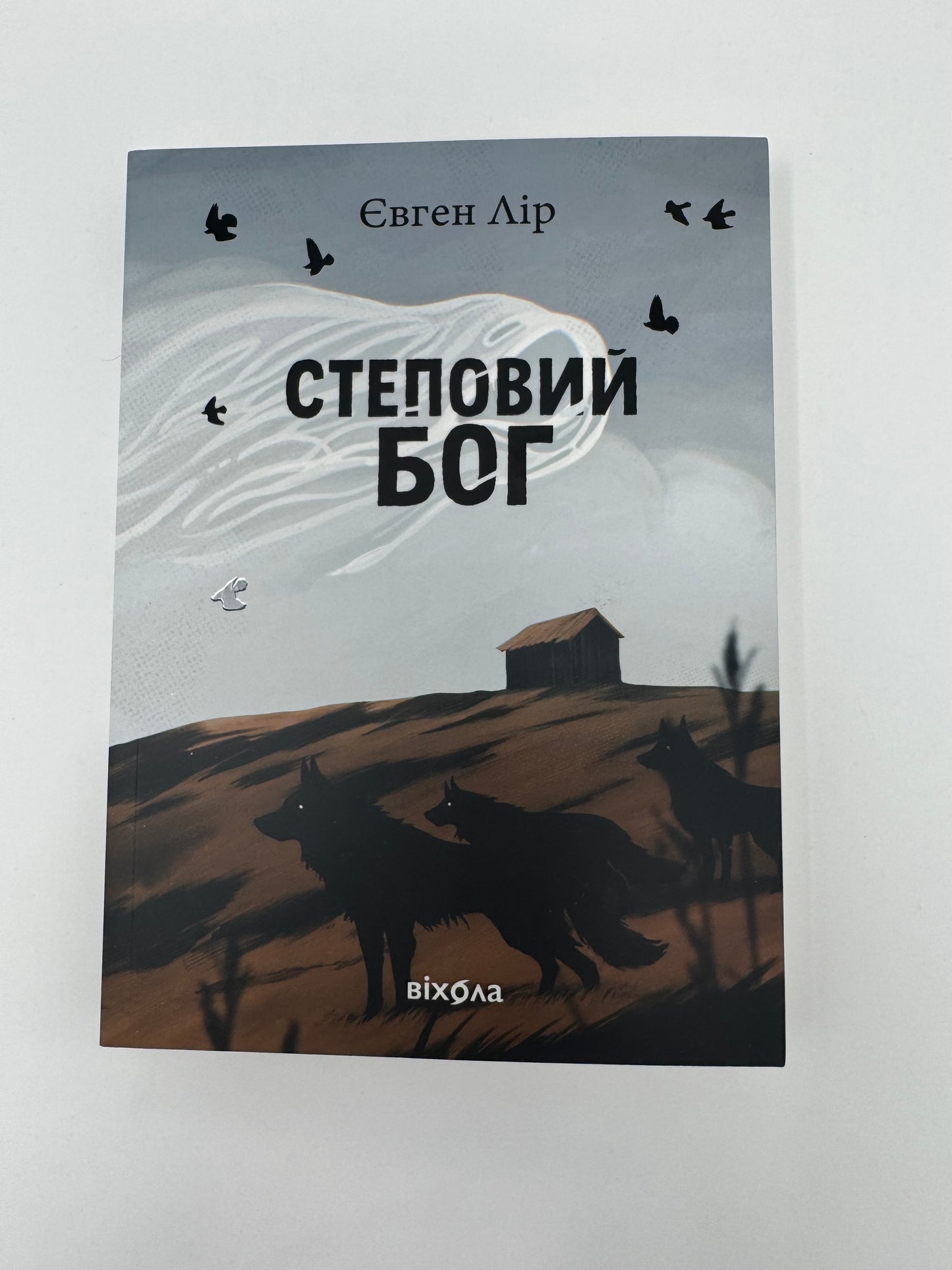 Степовий Бог. Євген Лір / Сучасна українська проза