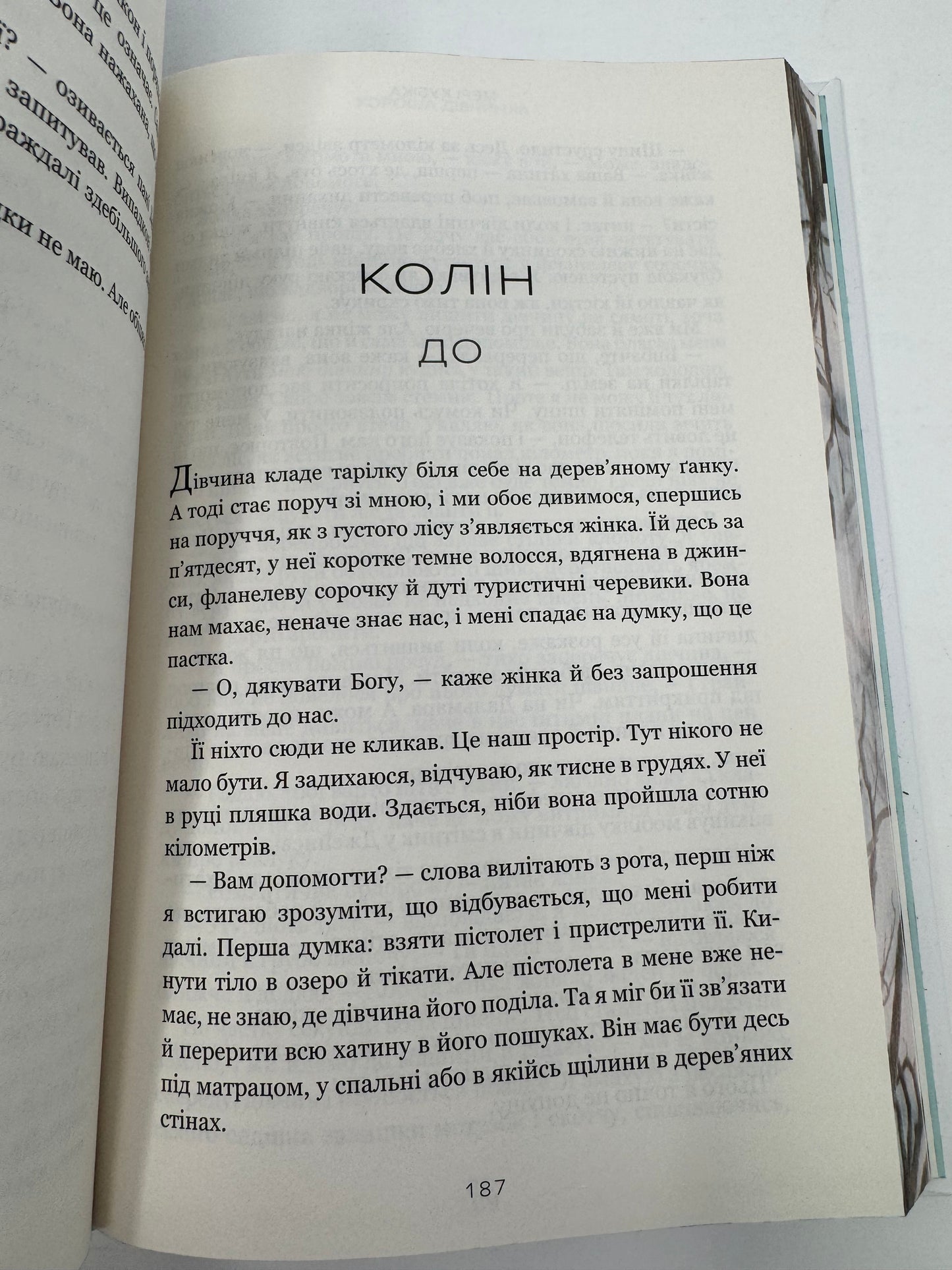 Хороша дівчинка. Limited Edition. Мені Кубіка / Трилери та детективи купити в США українські книги