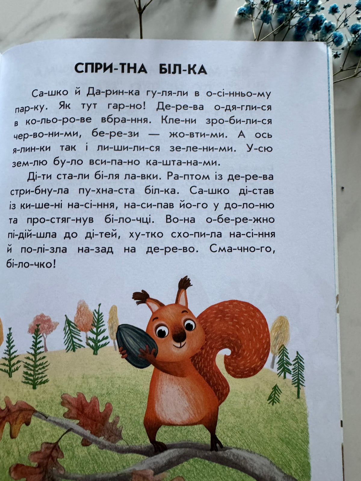 10 історій по складах. Спритна білка. Юлія Каспарова / Книги для перших читань