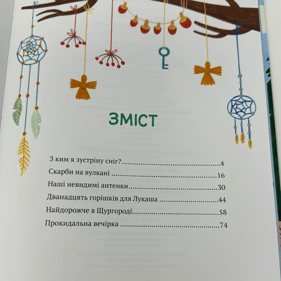 Історії друзів із Горішкових  Плавнів. Катерина Єгорушкіна / Українські дитячі книги в США