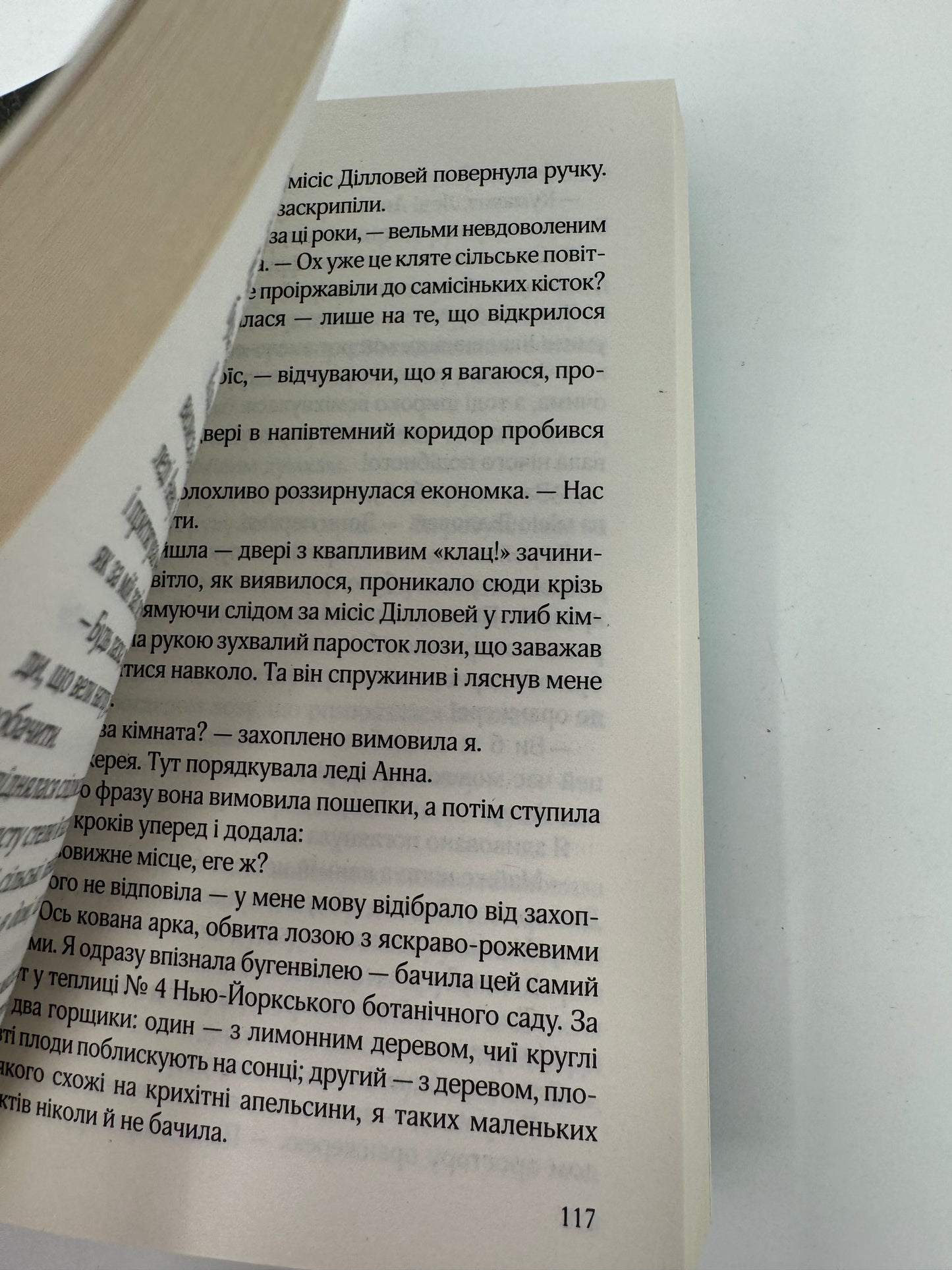 Остання камелія. Сара Джіо (мʼяка обкладинка) / Світові бестселери українською