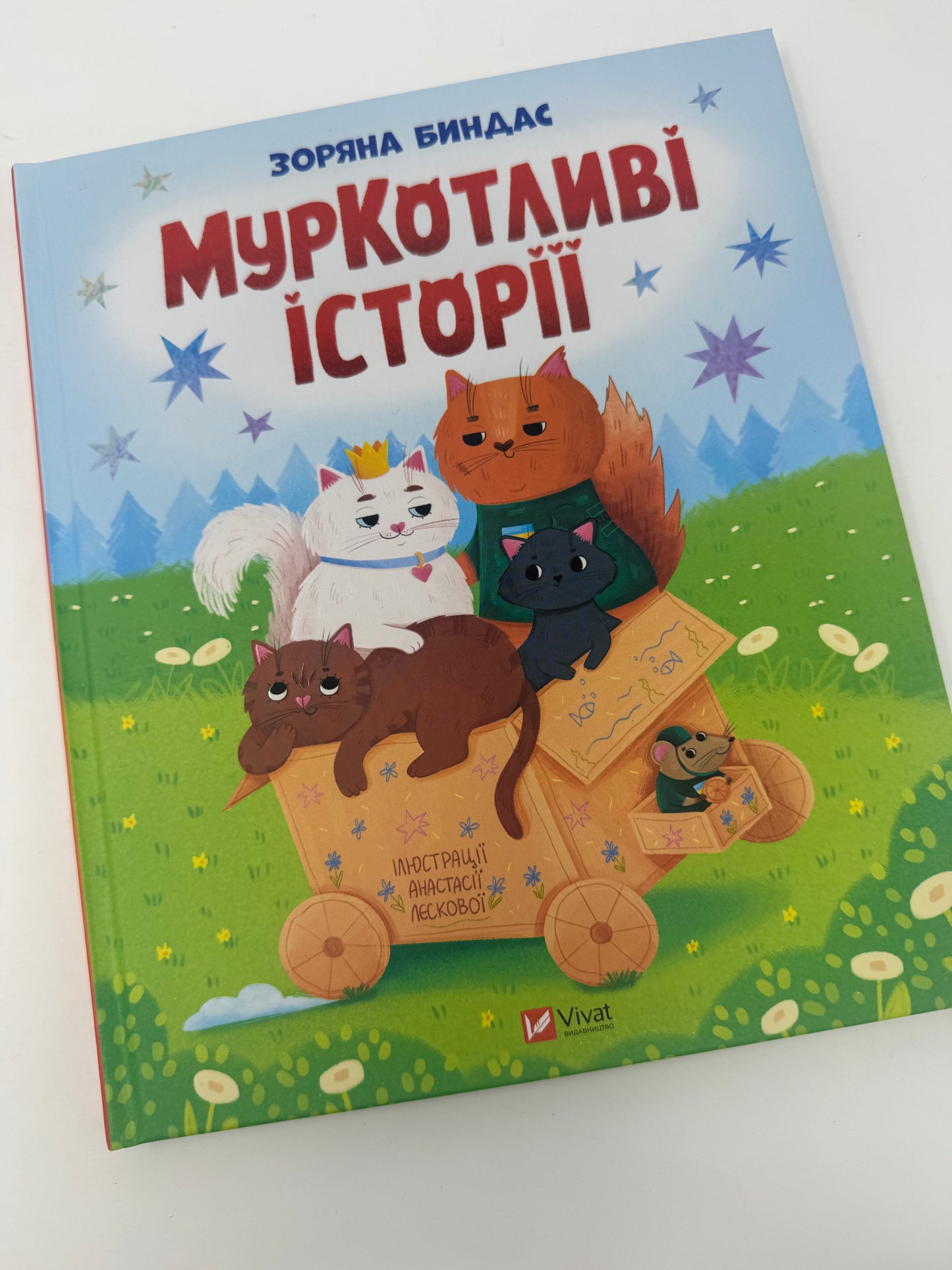 МурКотливі історії. Зоряна Биндас / Українські книги для дітей