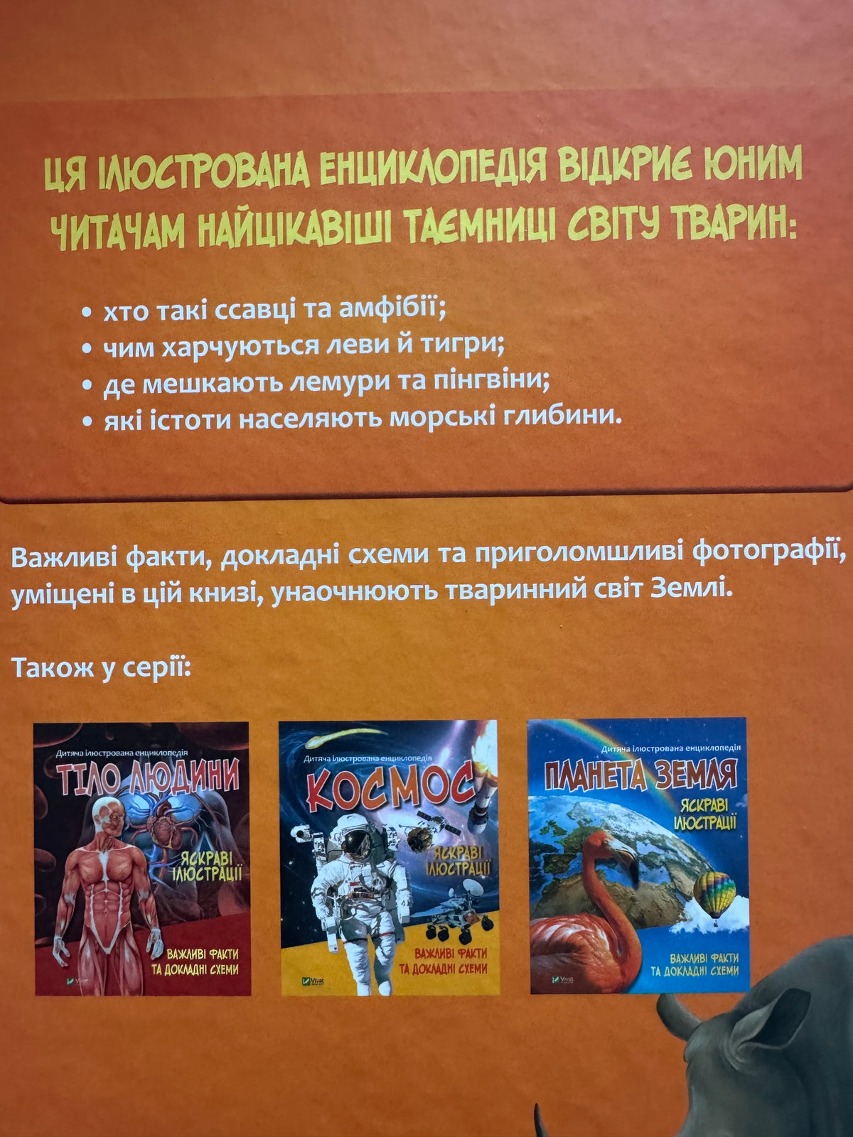 Тварини. Дитяча ілюстрована енциклопедія / Дитячі енциклопедії купити українською