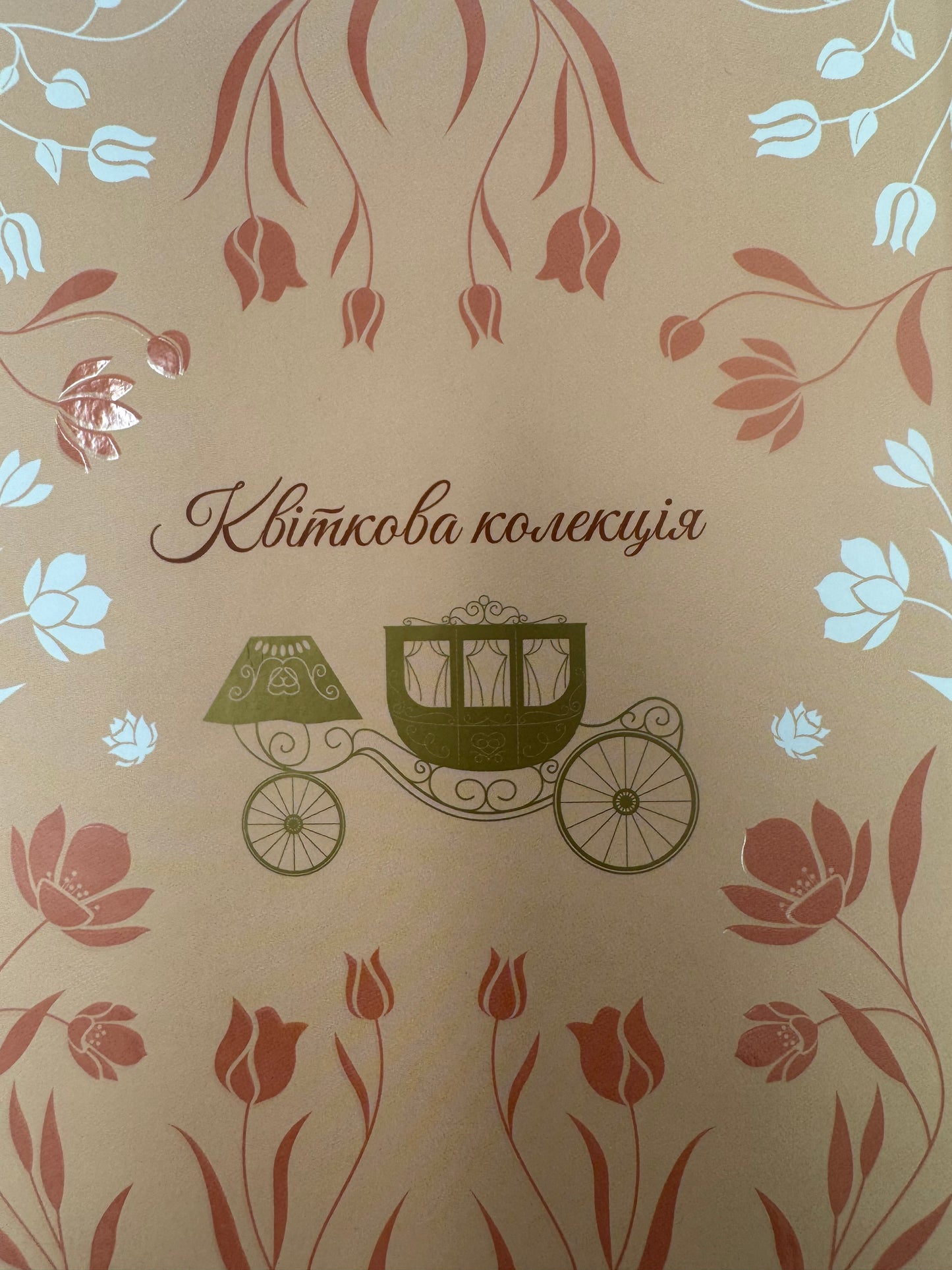 Аґнес Ґрей. Енн Бронте / Світова класика купити книги