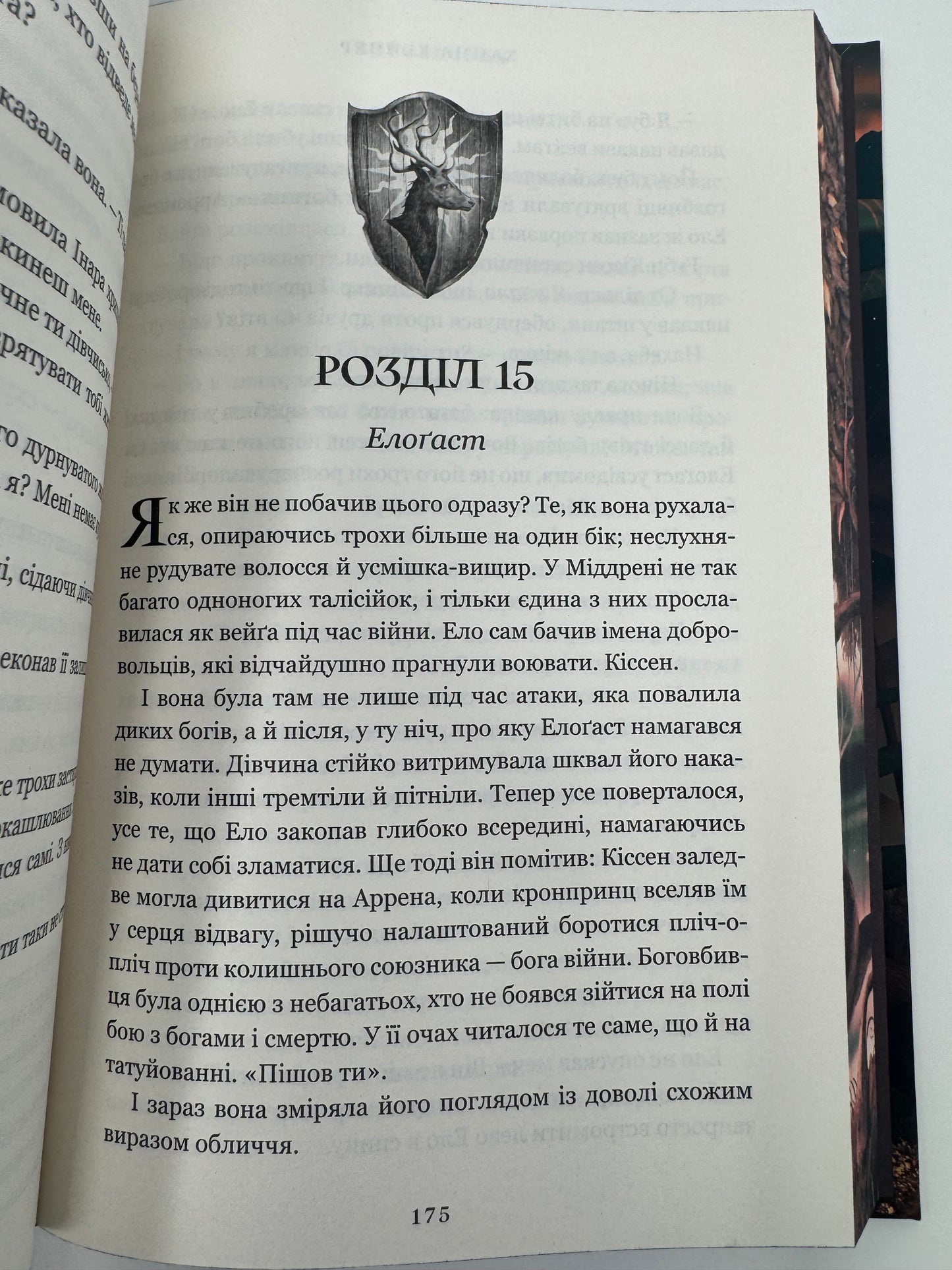 Боговбивця. Limited edition. Ханна Кейнер / Світове фентезі українською