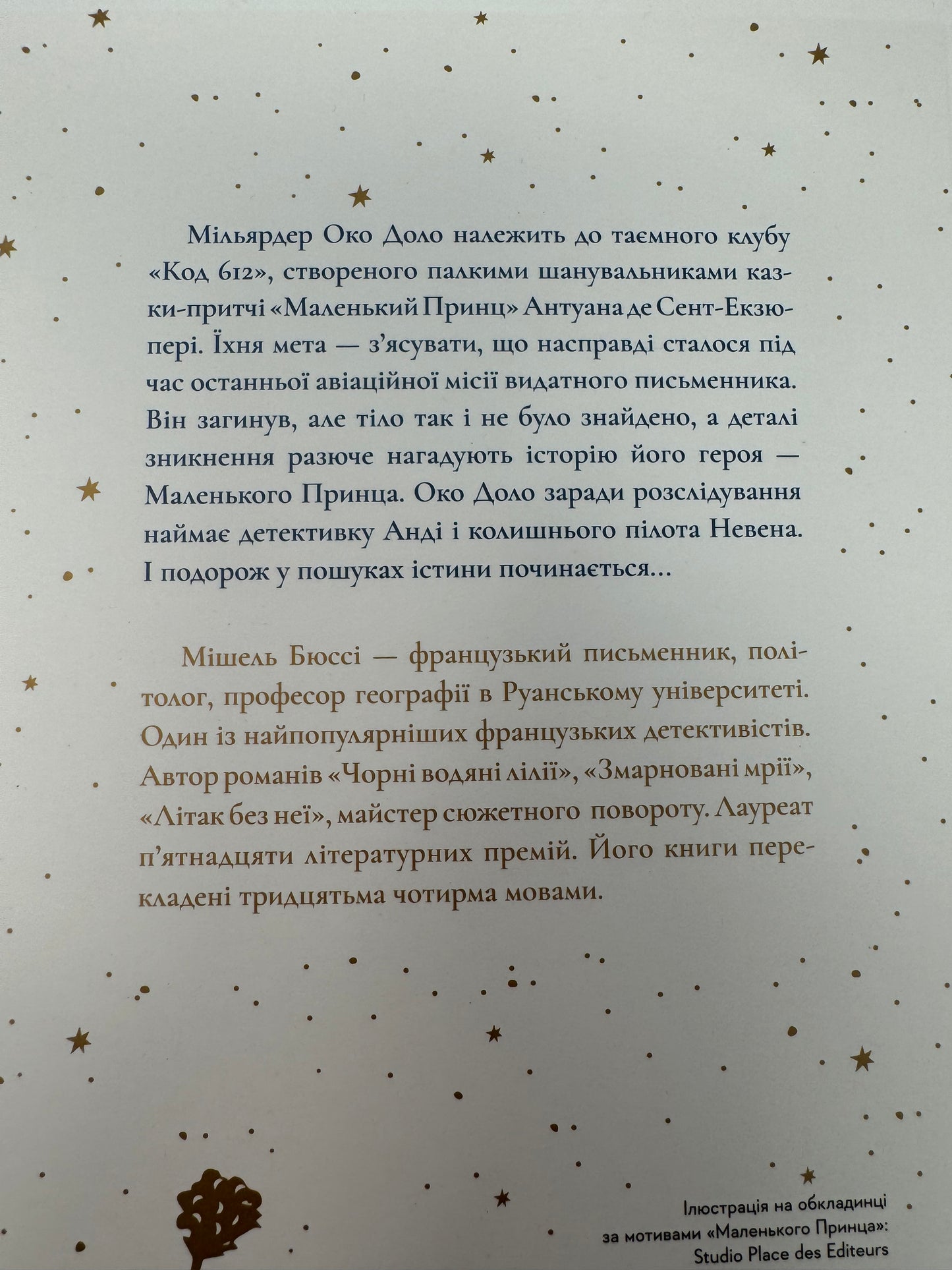 Код 612. Хто вбив Маленького Принца? Мішель Бюссі / Французькі детективи українською