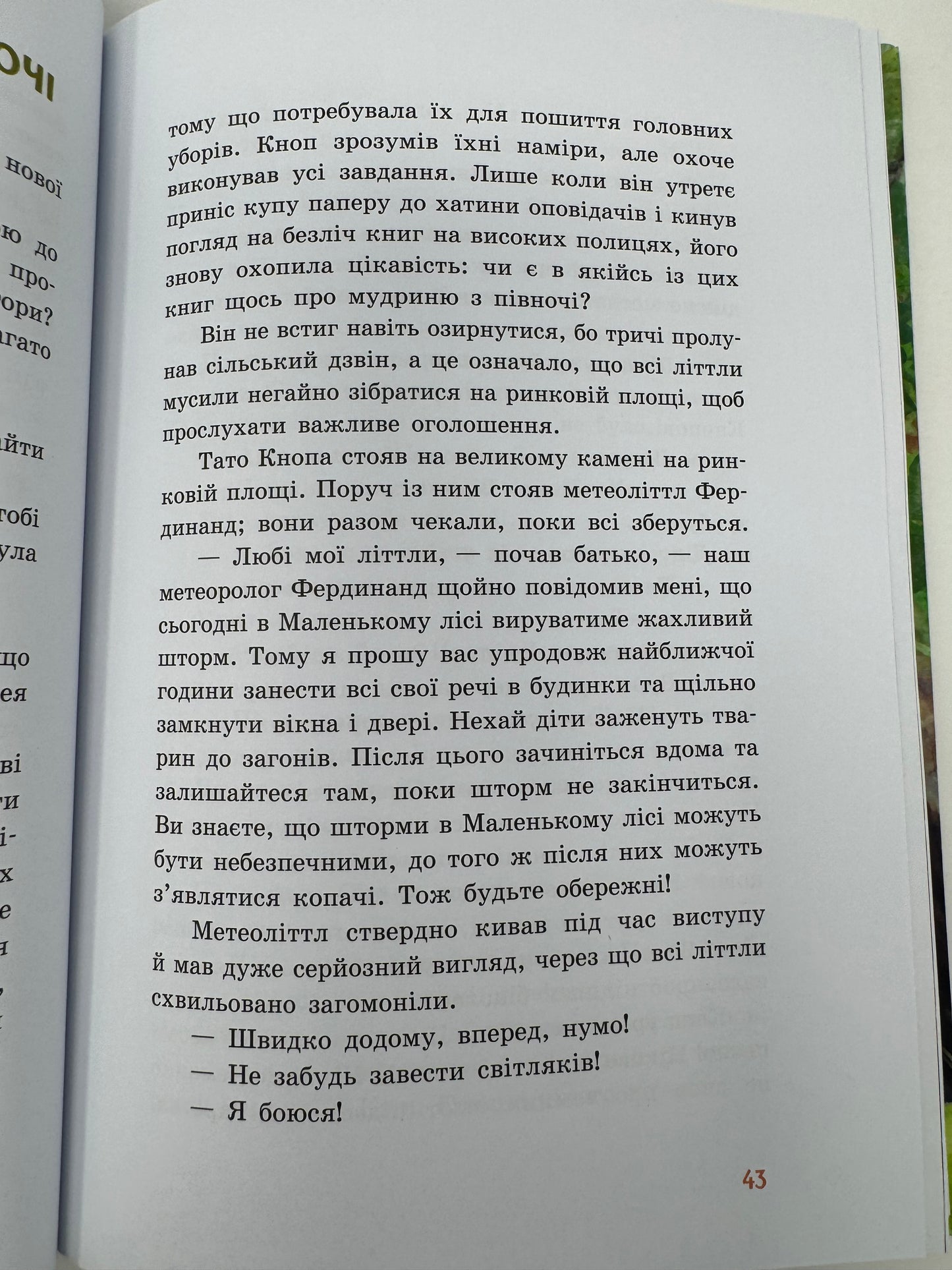 Непосида Кноп. Пригоди в Маленькому лісі. Книга 1. Сандра Ґрімм / Книги для дітей українською