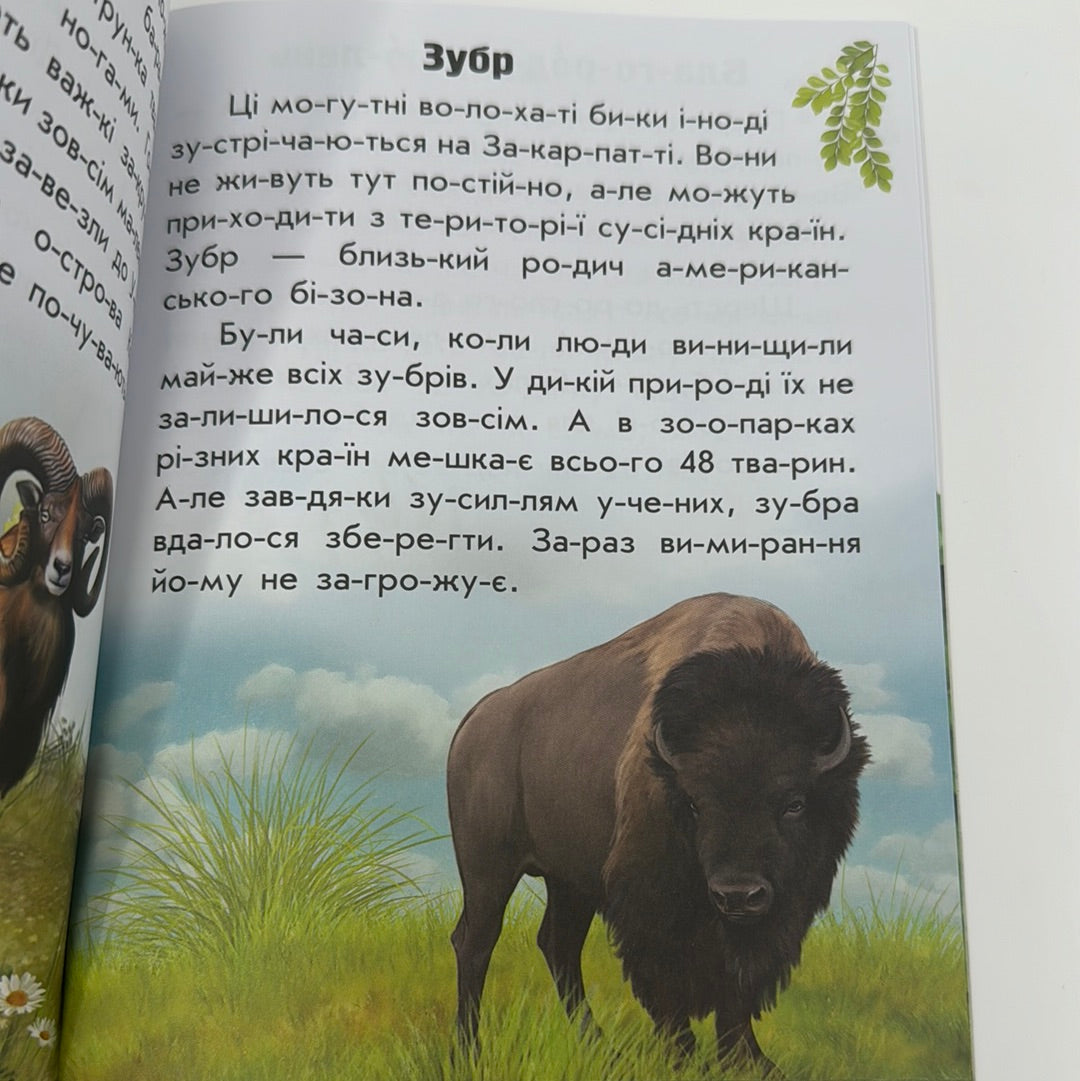 Тварини гір. Читаю про Україну / Книги для читання по складах