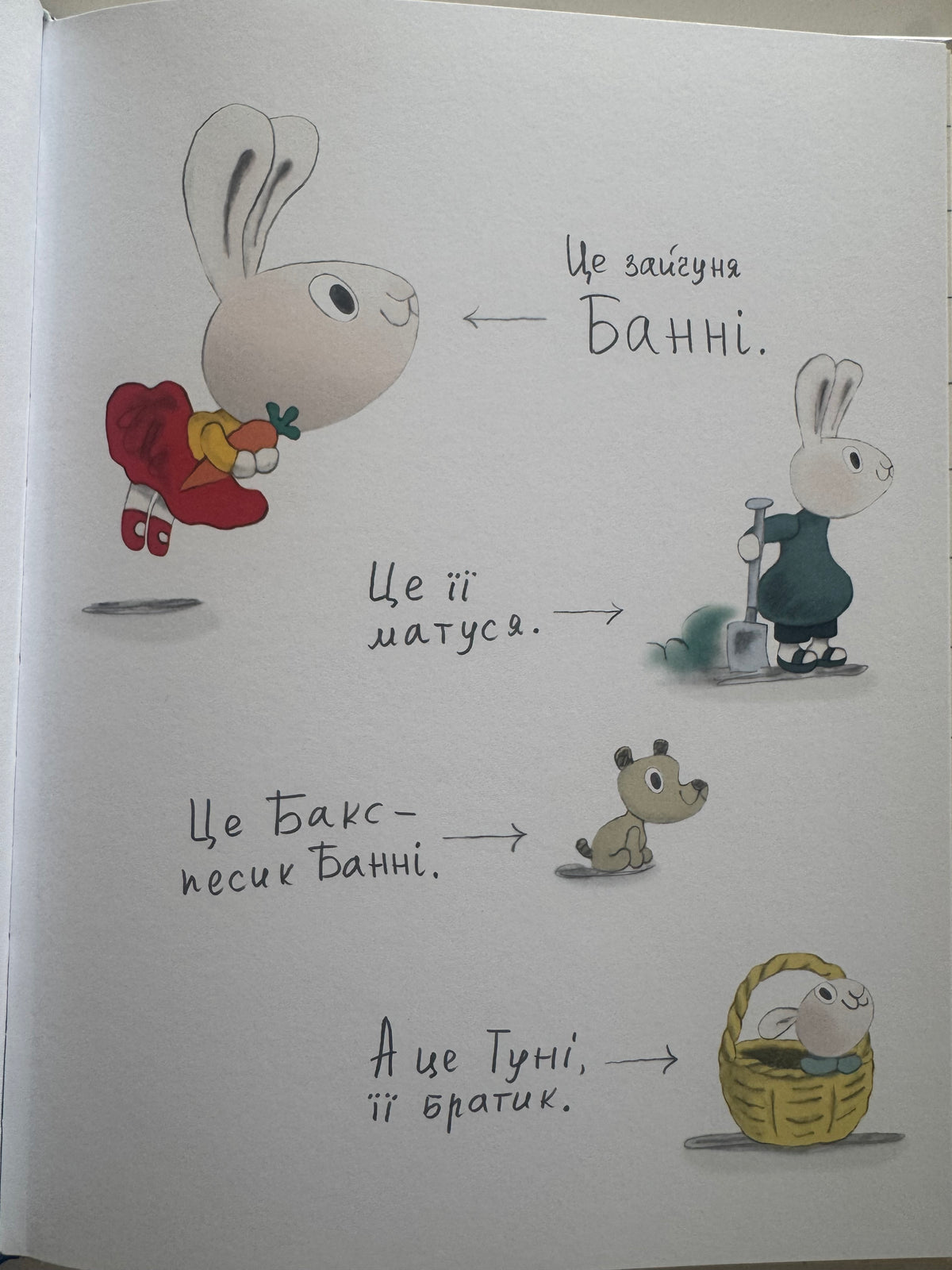 Корисні навички. Заробляй! Книжка про зайчуню, яка розуміється на грошах. 4-7 років. Сіндерс Маклеод / Книги для розвитку дітей