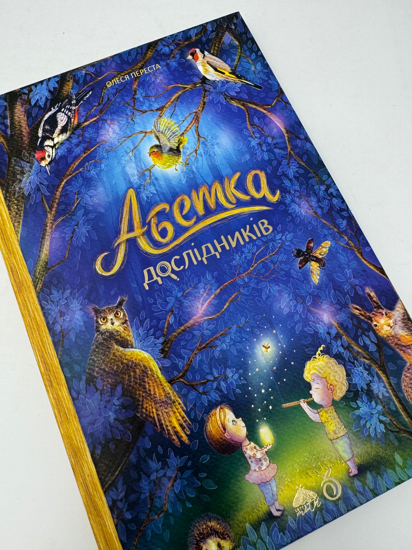 Абетка дослідників. Олеся Переста / Книги з українськими абетками