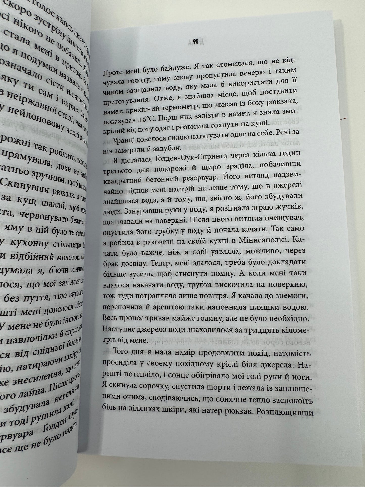 Дика. Шлях від витрат до віднайдення себе. Шерил Стрейд / Книги для саморозвитку