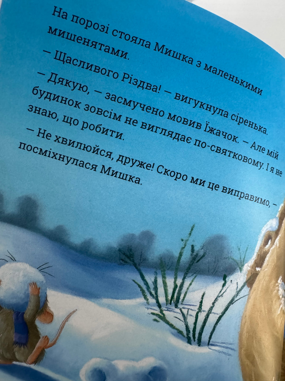 Однієї Різдвяної ночі. Тіна Макнатон / Різдвяні книги для дітей