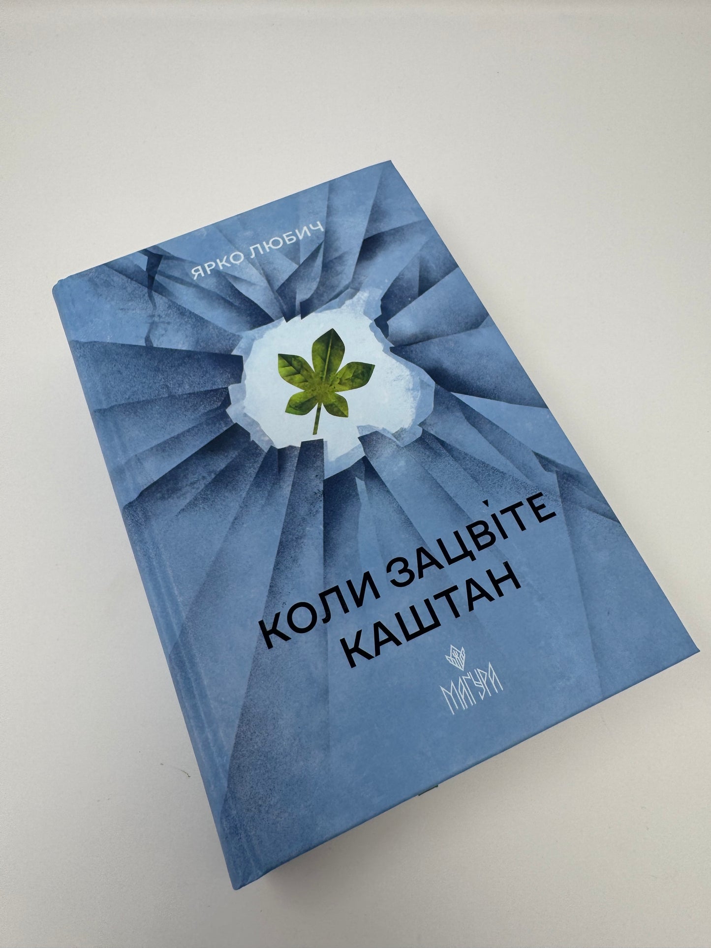 Коли зацвіте каштан. Ярко Любич / Сучасна українська проза