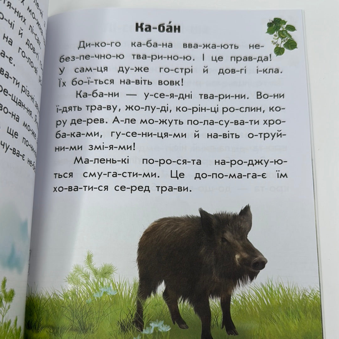 Тварини лісів. Читаю про Україну / Книги для читання по складах