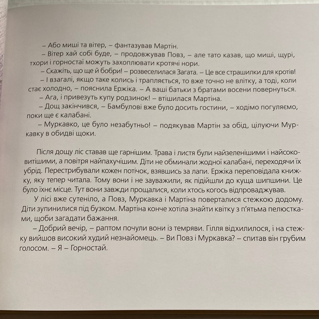 Куди зникло море. Марʼяна Прохасько, Тарас Прохасько / Дитячі українські бестселери