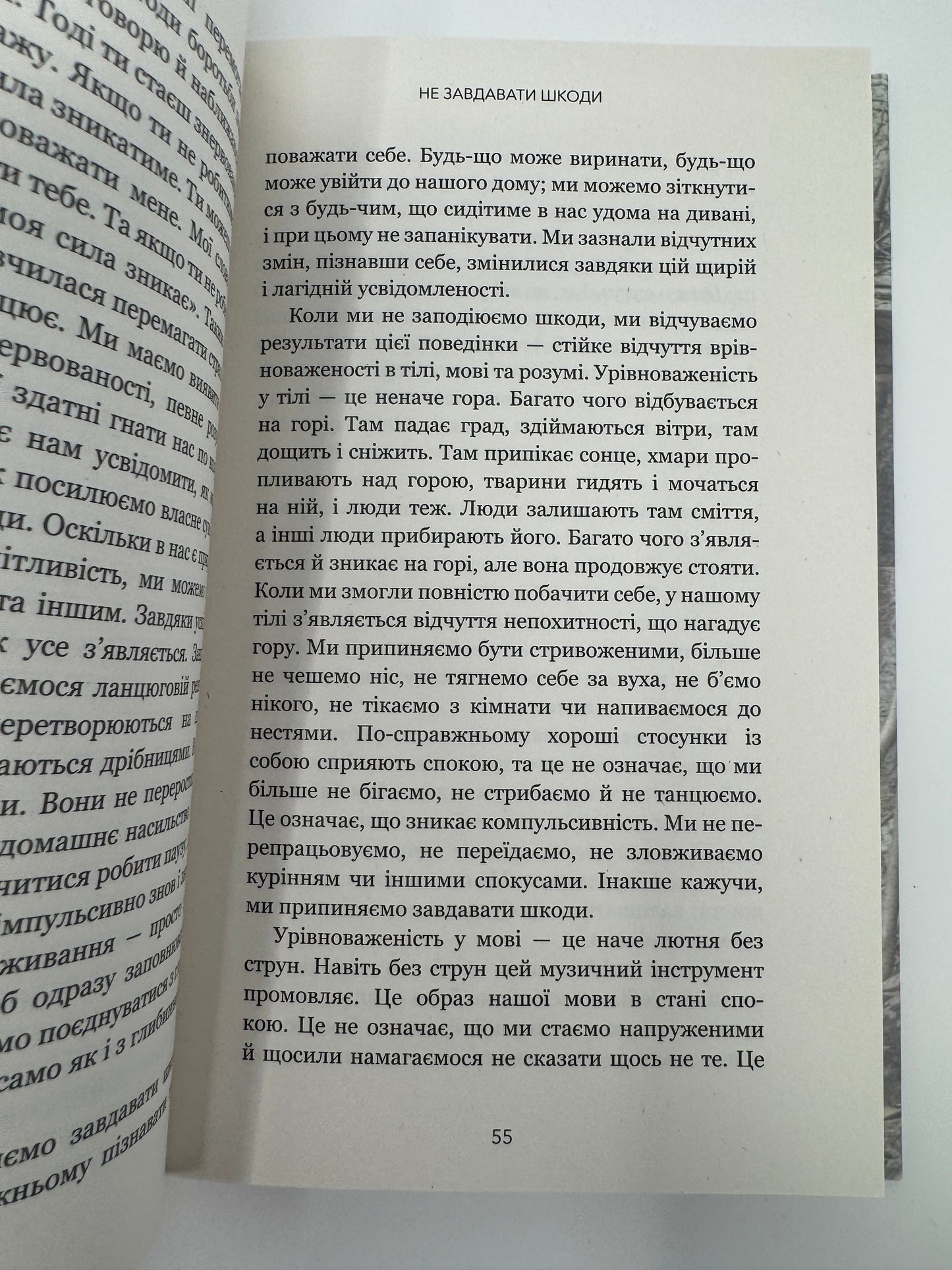 Коли життя стає руїнами. Дієві поради для важких часів. Пема Чодрон / Книги з популярної психології купити в США