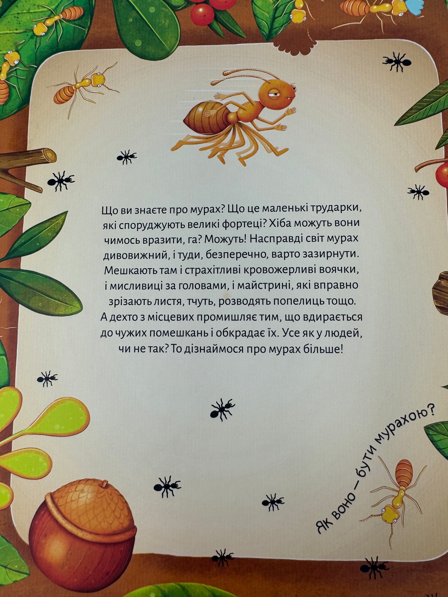 Світ мурах. Книги про комах / Пізнавальні книги про комах для дітей