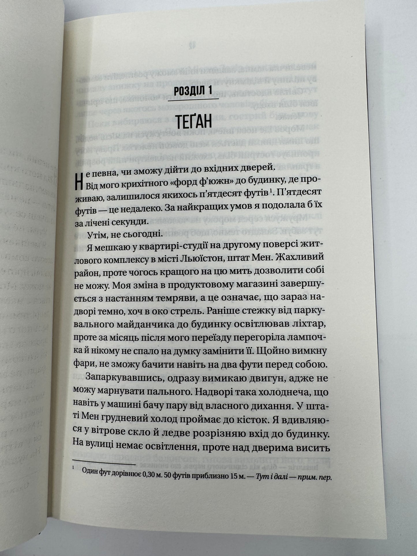 Буря. Фріда Мак-Фадден / Детективи світові купити