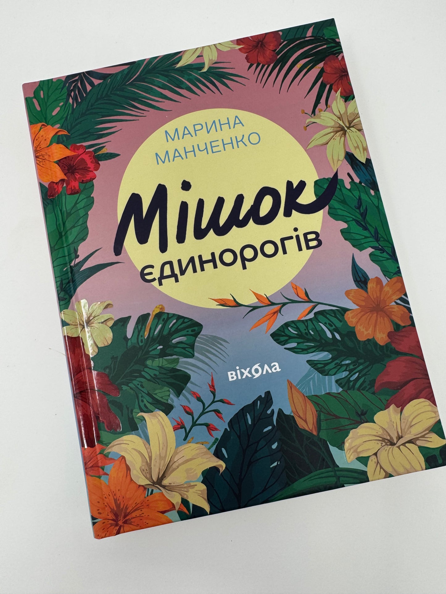Мішок єдинорогів. Марина Манченко / Сучасна українська література