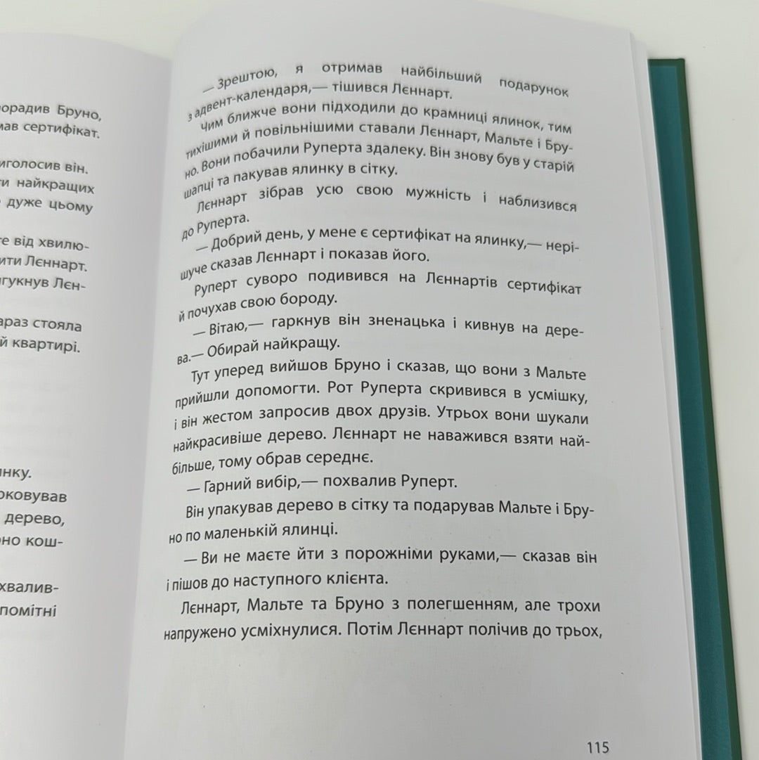 Різдво на Бузиновій вулиці. Мартіна Баумбах / Різдвяні книги українською