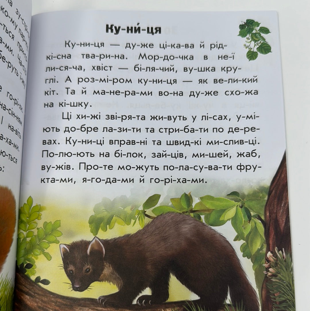 Тварини лісів. Читаю про Україну / Книги для читання по складах