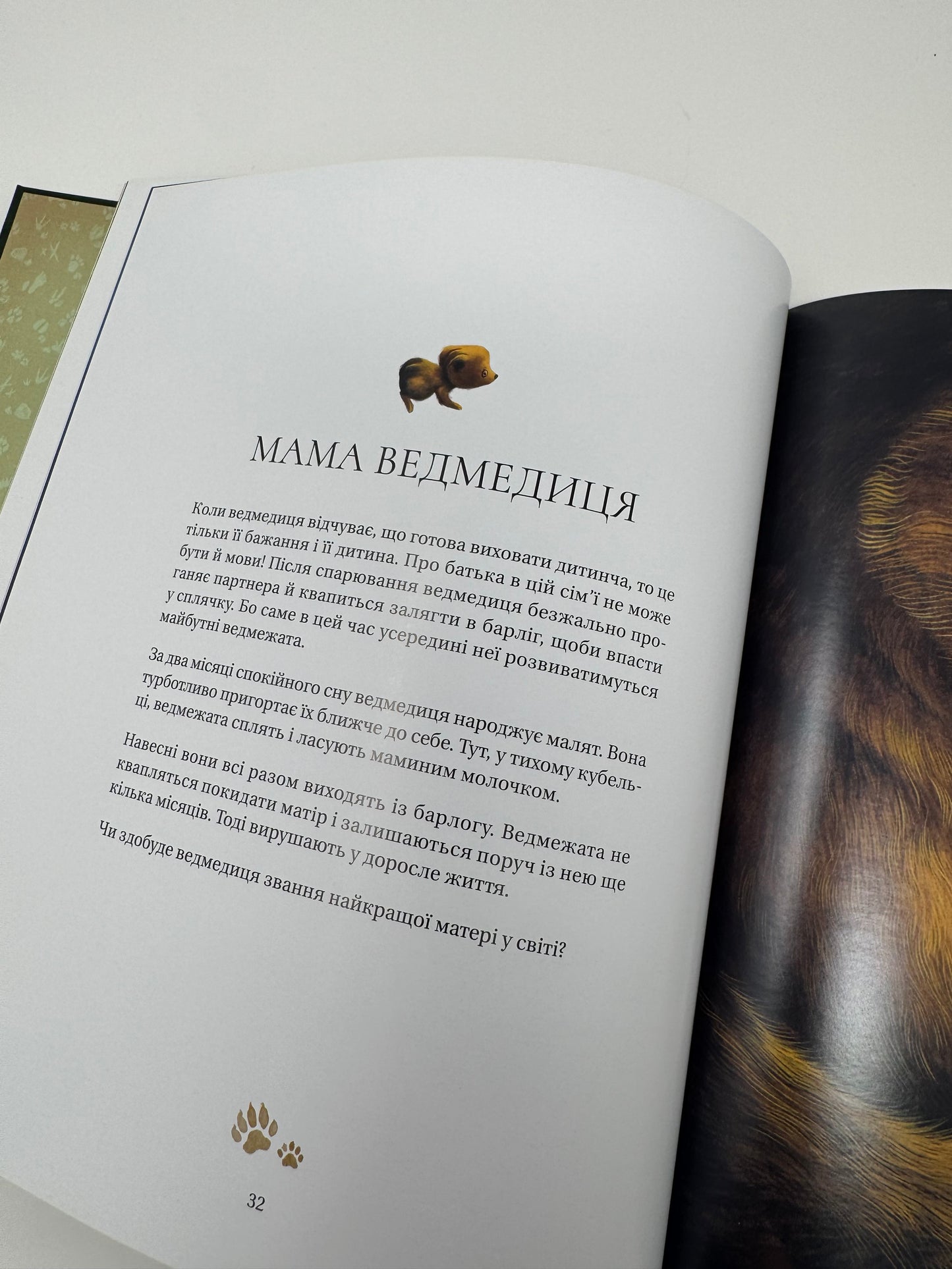 Найкраща мама у світі. Себастьян Перез / Книги про маму для дітей