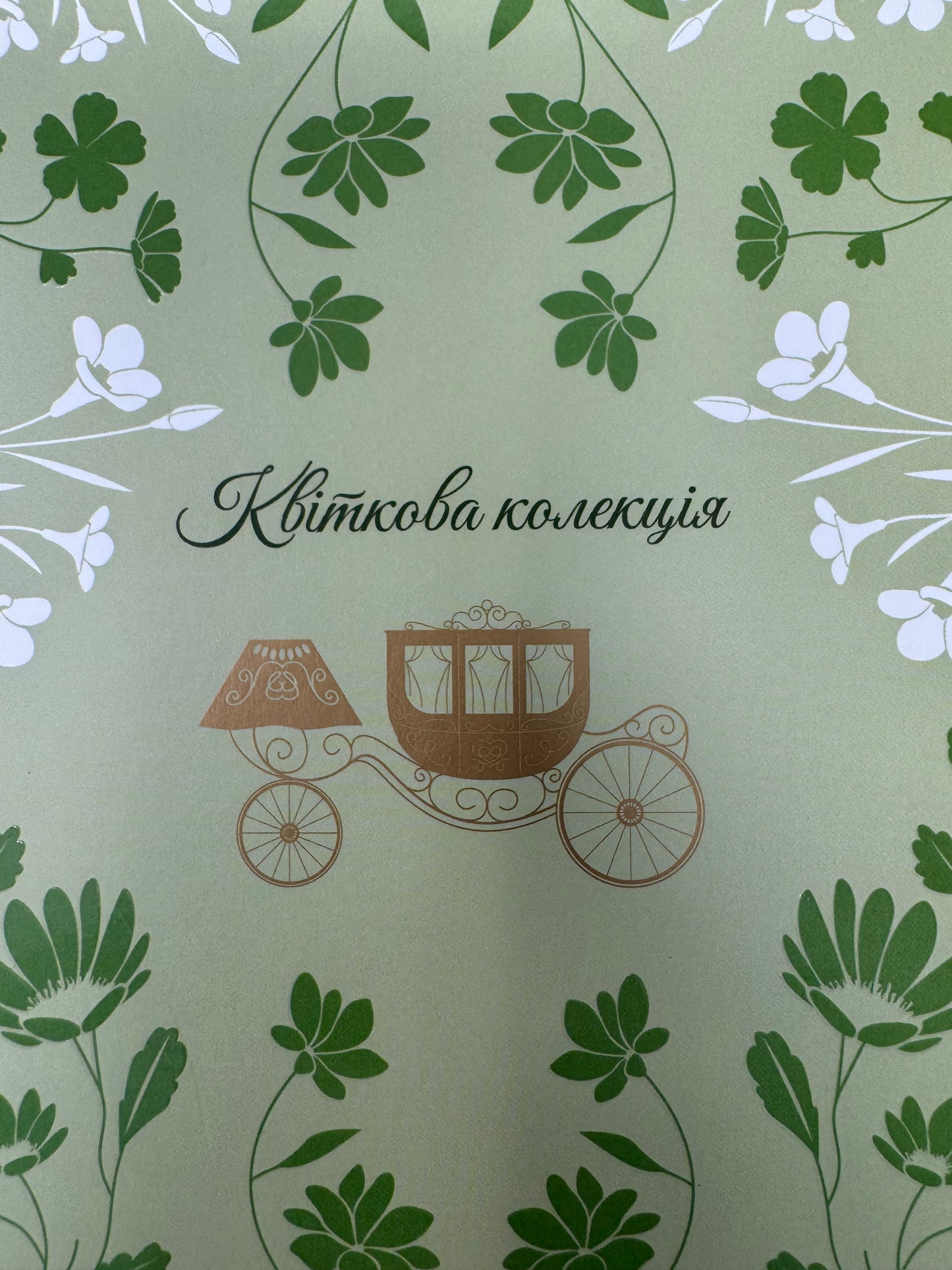 Буремний перевал. Емілі Бронте / Світова класика купити книги Буремний перевал