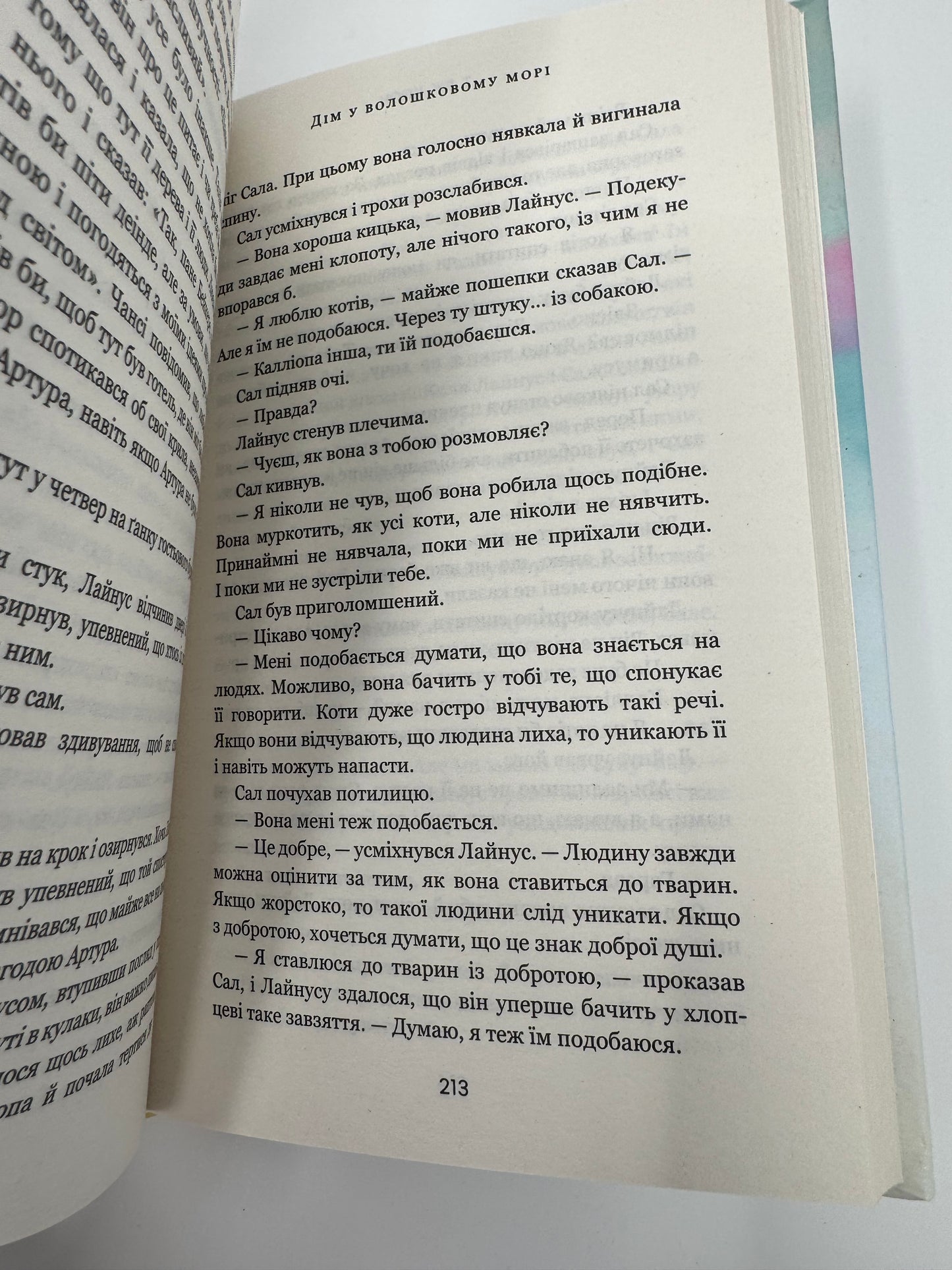 Дім у волошковому морі. Т. Дж. Клюн / Сучасні бестселери українською