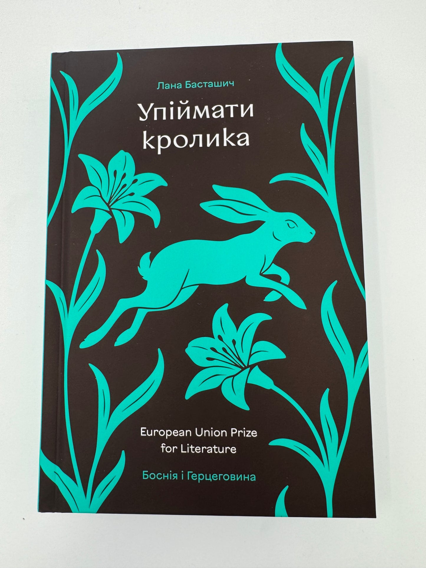 Упіймати кролика. Лана Басташич / Сучасеі світові бестселери