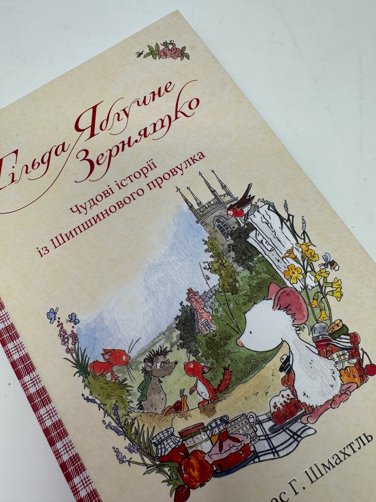 Тільда Яблучне Зернятко. Книга 1. Чудові історії із Шипшинового провулка. Андреас Г. Шмахтль / Затишні книги для дітей українською