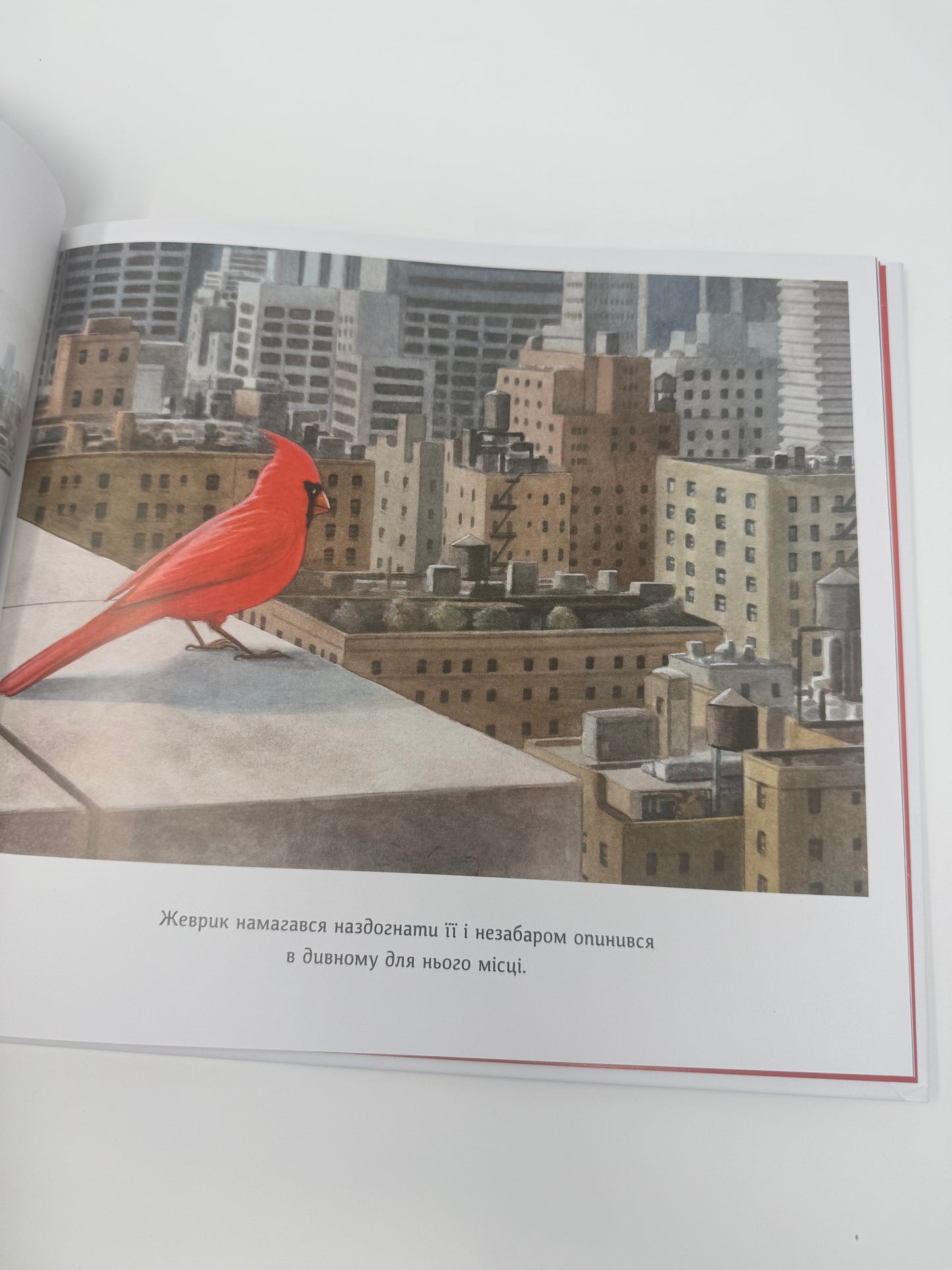 Жеврик і Жаринка. Метт Таварес / Книги купити для дітей дитячі