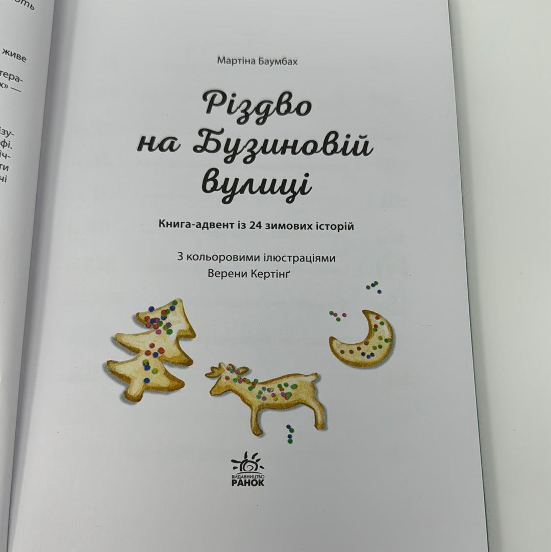 Різдво на Бузиновій вулиці. Мартіна Баумбах / Різдвяні книги українською