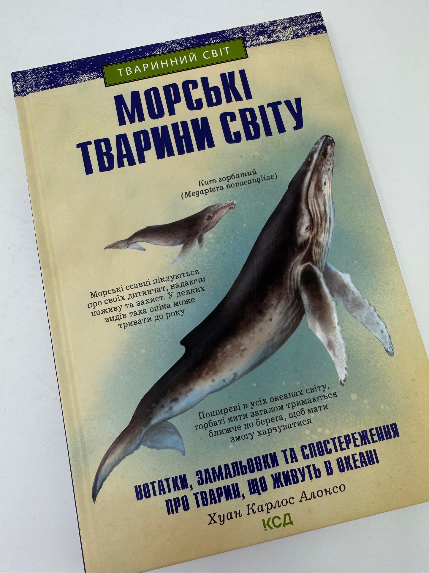 Морські тварини світу. Хуан Карлос Алонсо / Енциклопедії для дітей українською