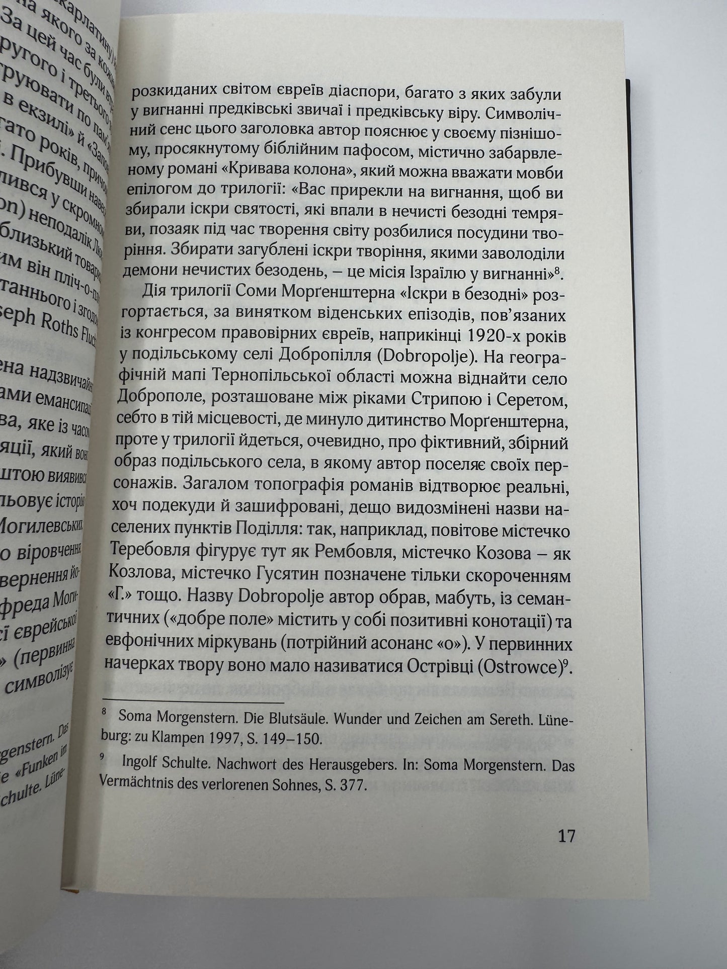 Син блудного сина. Сома Морґенштерн / Світова література книги в США українські