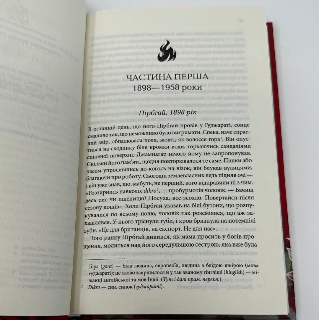 Родина у вогні. Джаніка Оза / Бестселери NYT